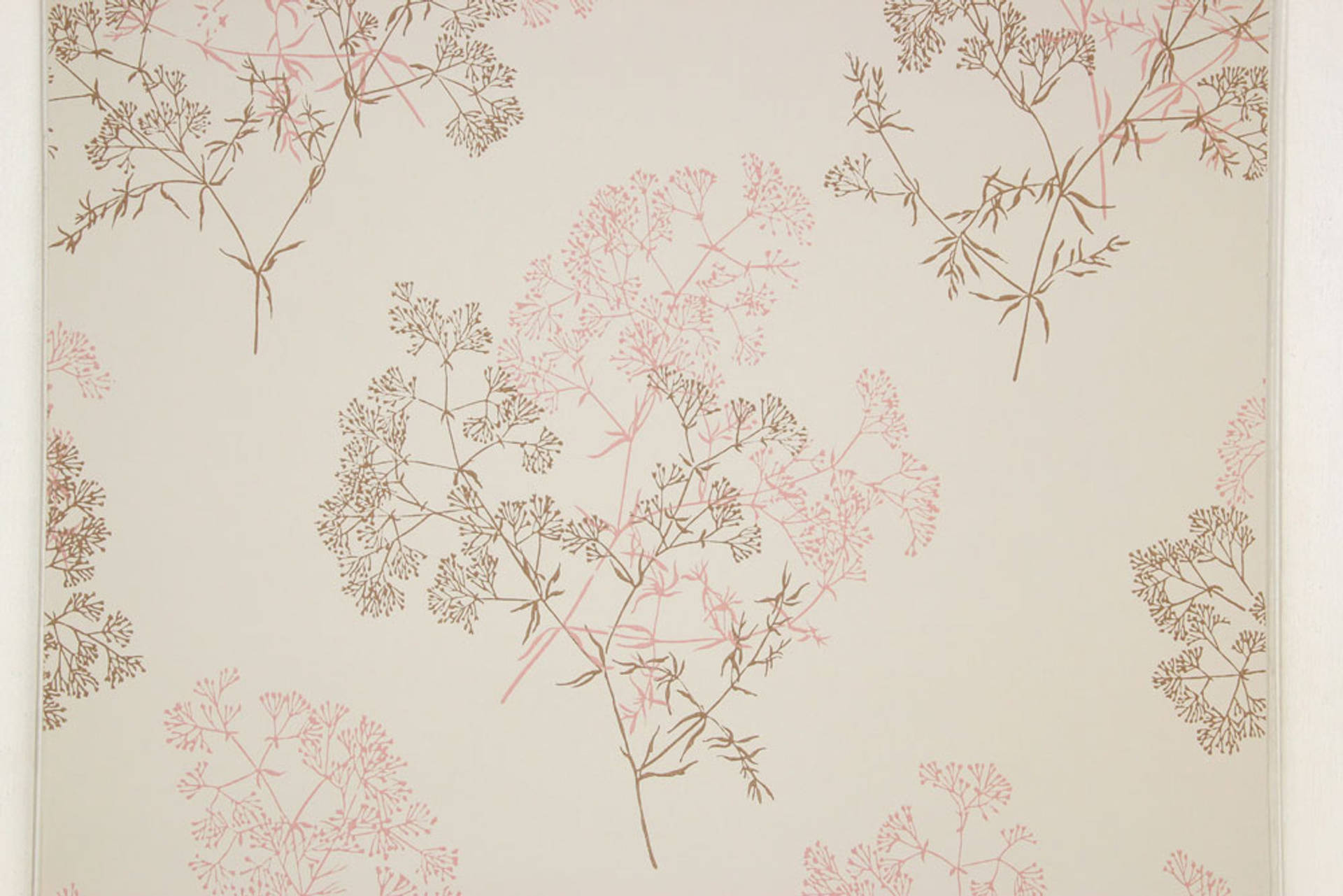 Cherry Blossom Twigs On Beige Background Background