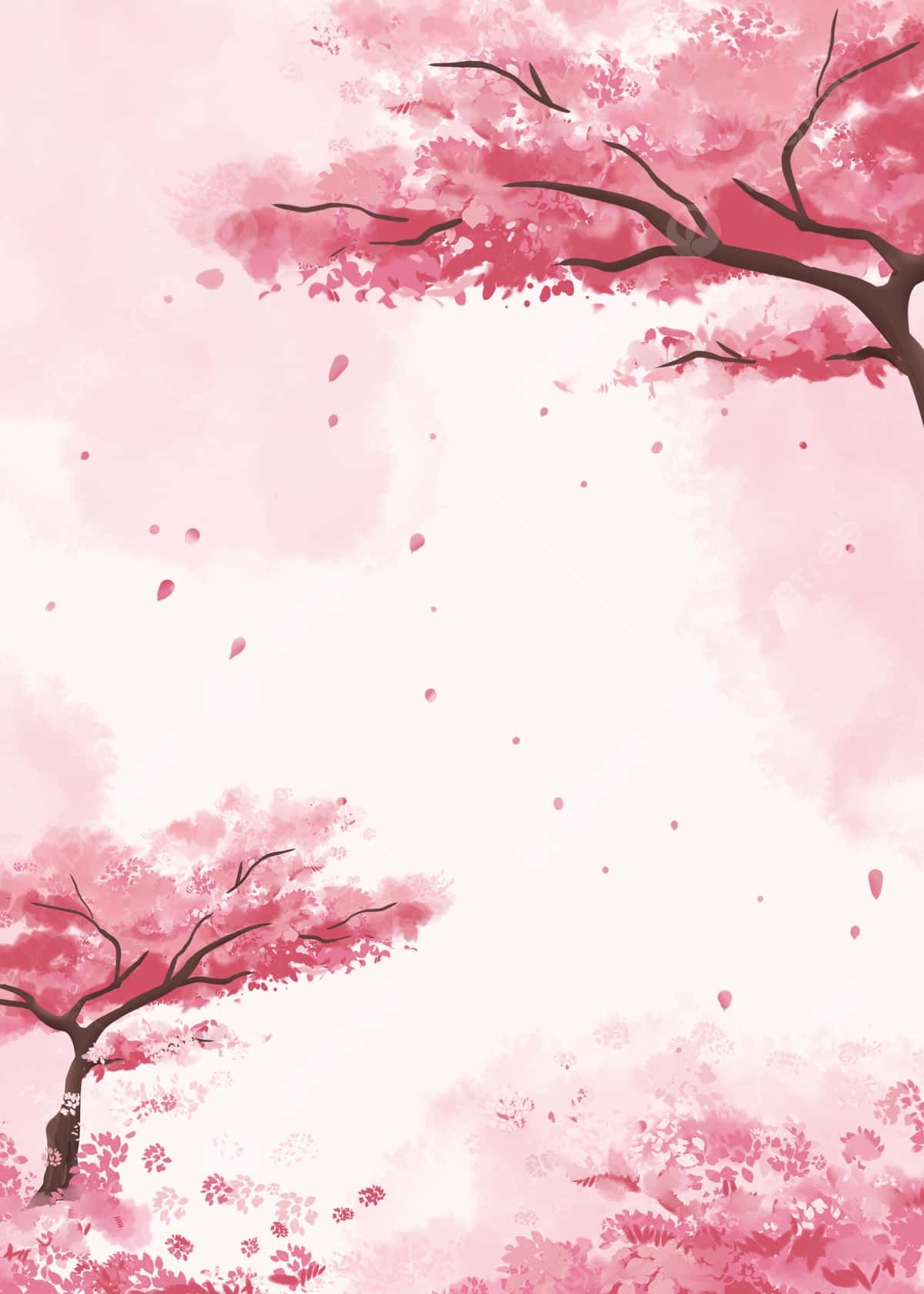 Cherry Blossom Watercolor Anime Background Background