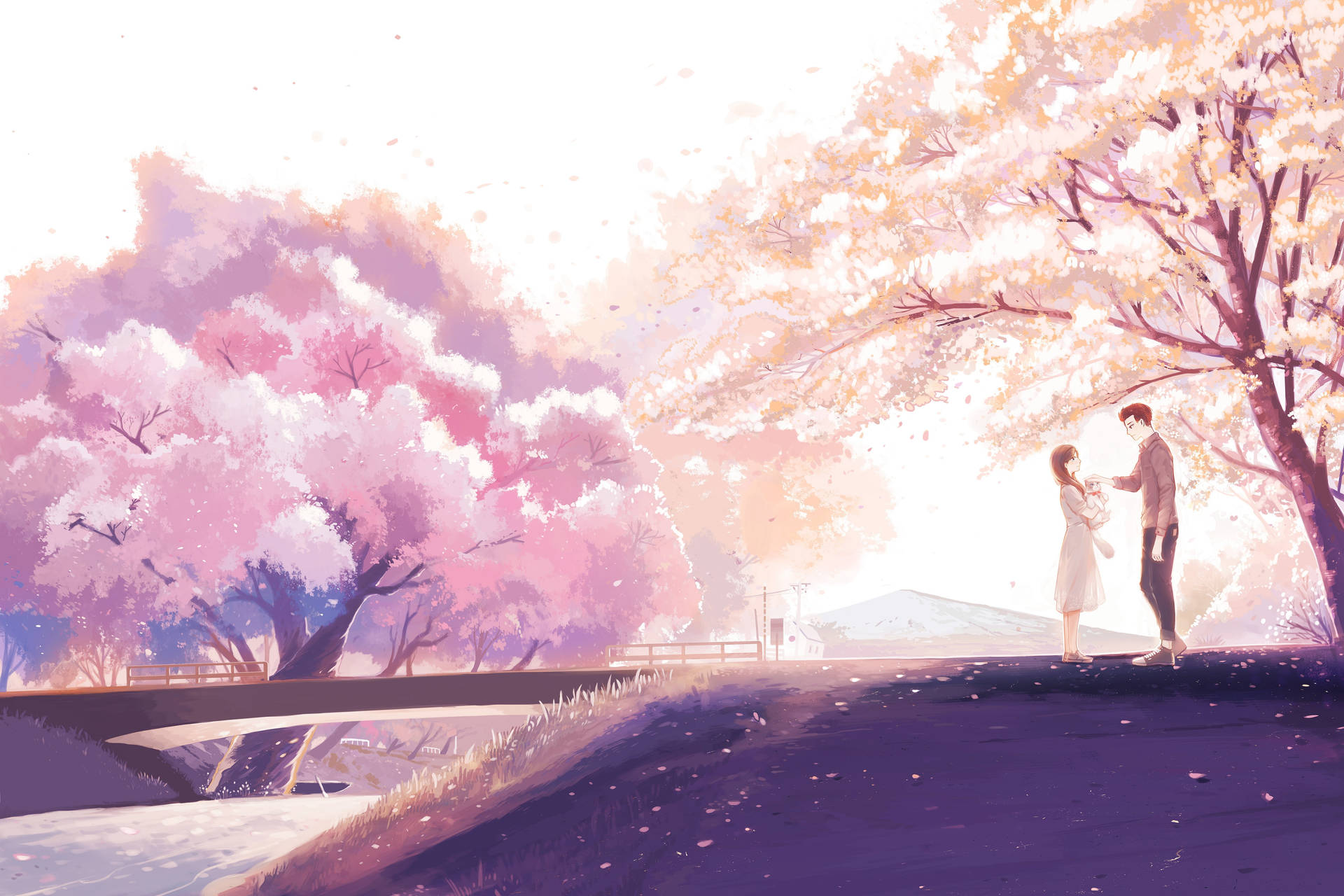 Cherry Blossoms Aesthetic Anime Couple Background