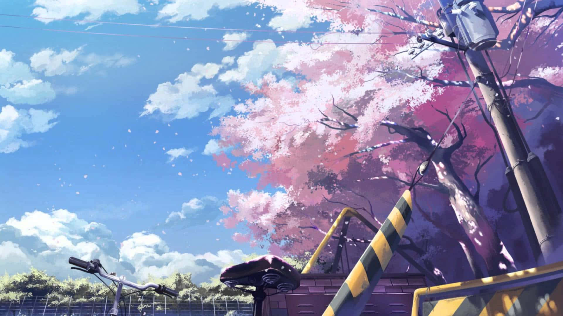 Cherry Blossoms Anime Scenery Bike Clear Skies Background