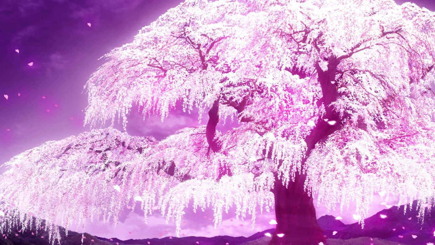 Cherry Blossoms Anime Scenery Glowing Pink Background