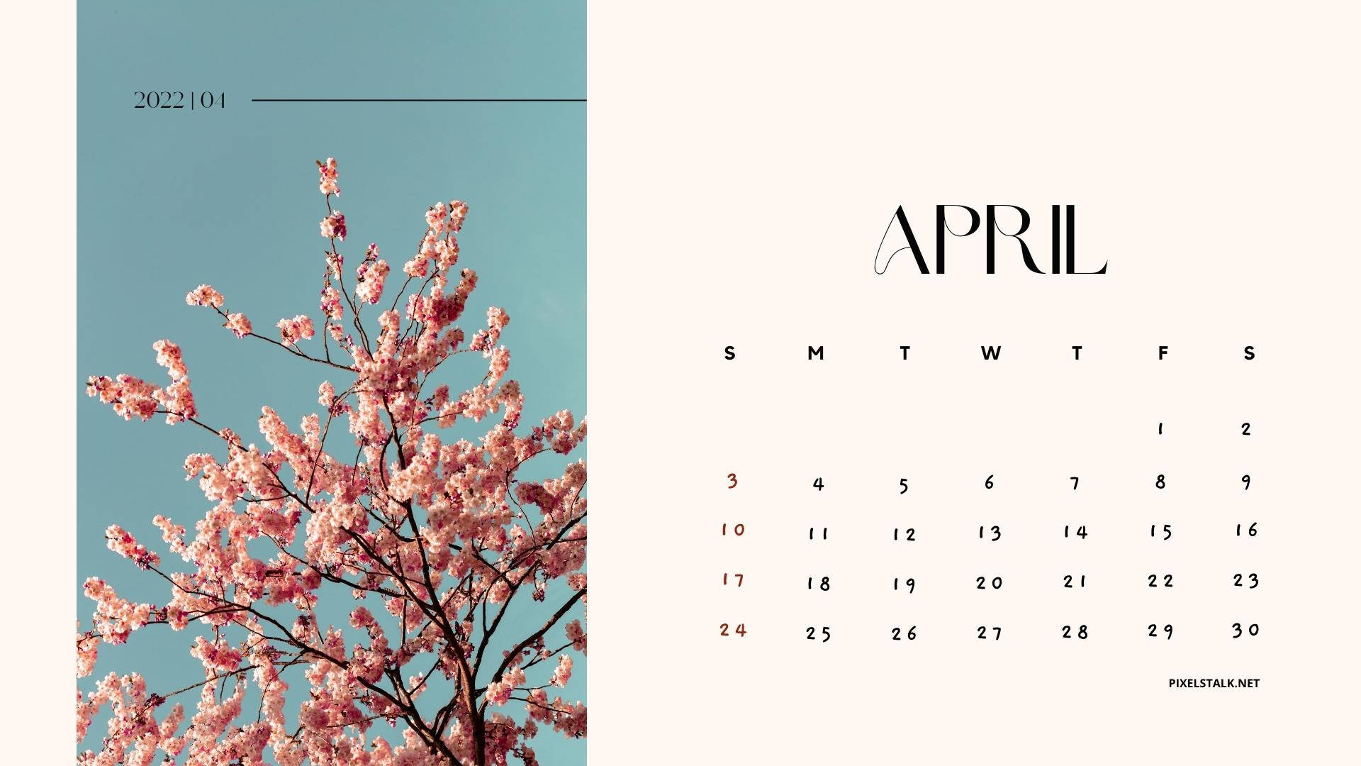 Cherry Blossoms April 2022 Calendar