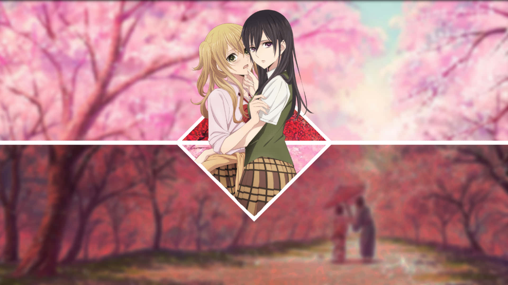 Cherry Blossoms Citrus Anime Background