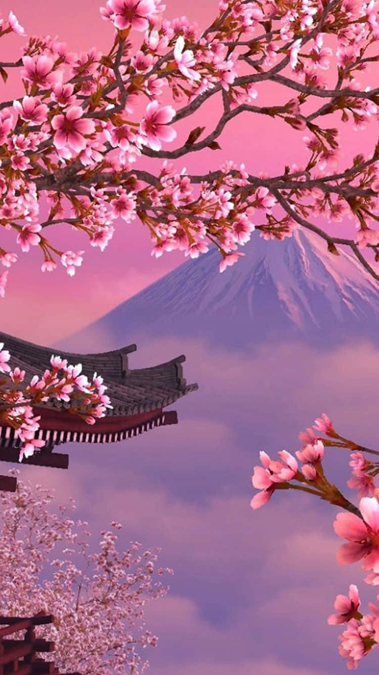 Cherry Blossoms Mount Fuji Japan Background