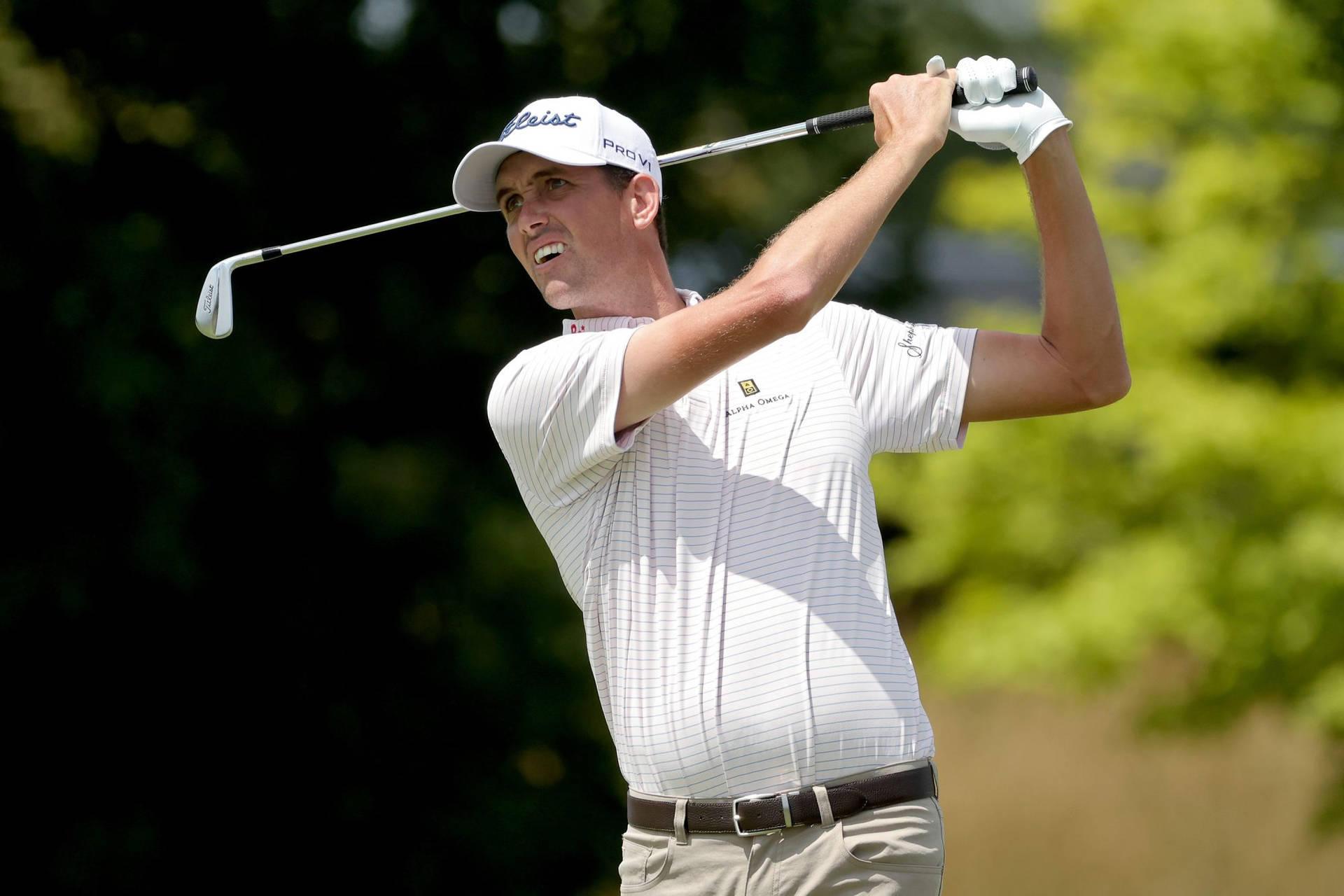 Chesson Hadley Bright Sunny Day Background