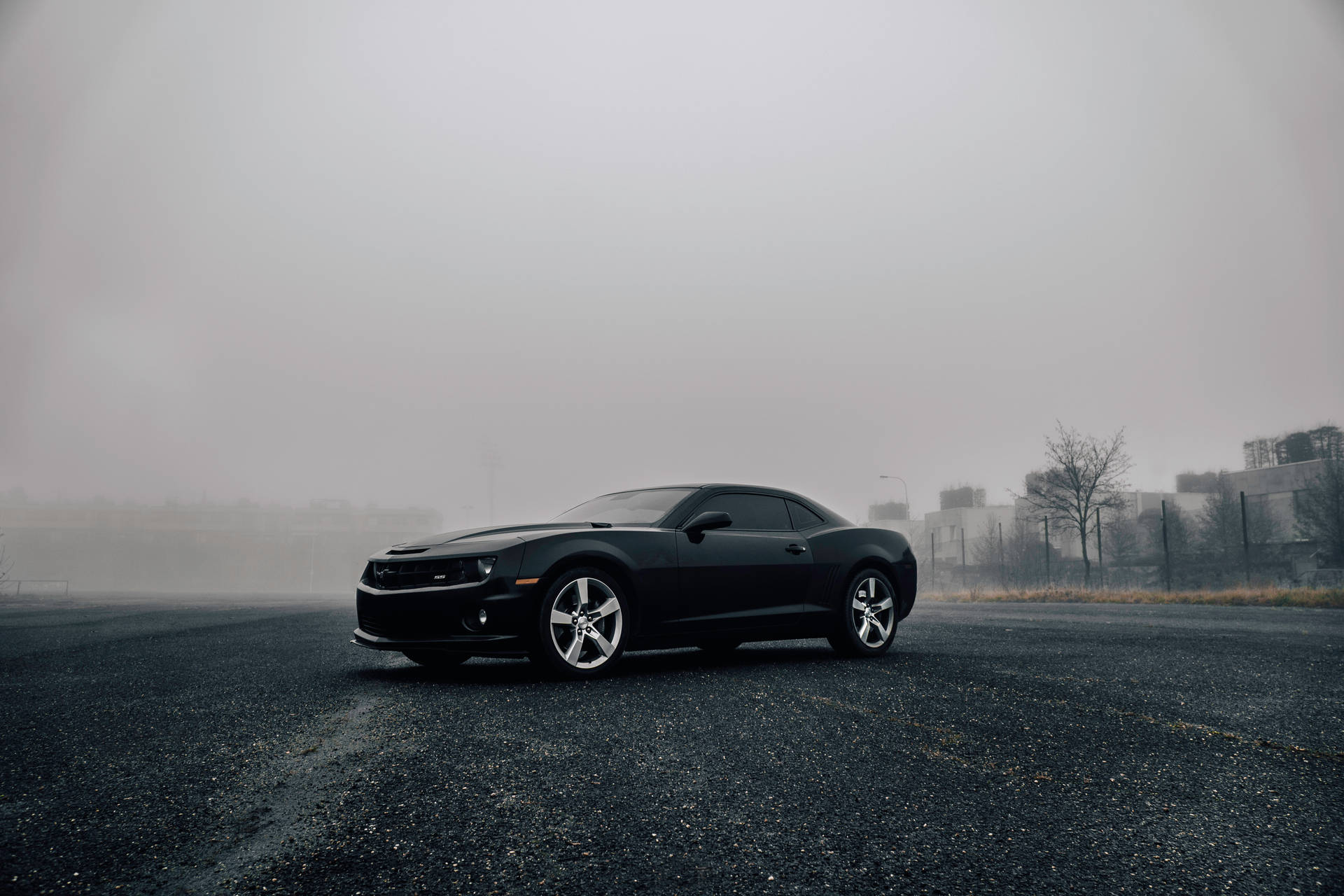 Chevrolet Black Camaro In Fog Background
