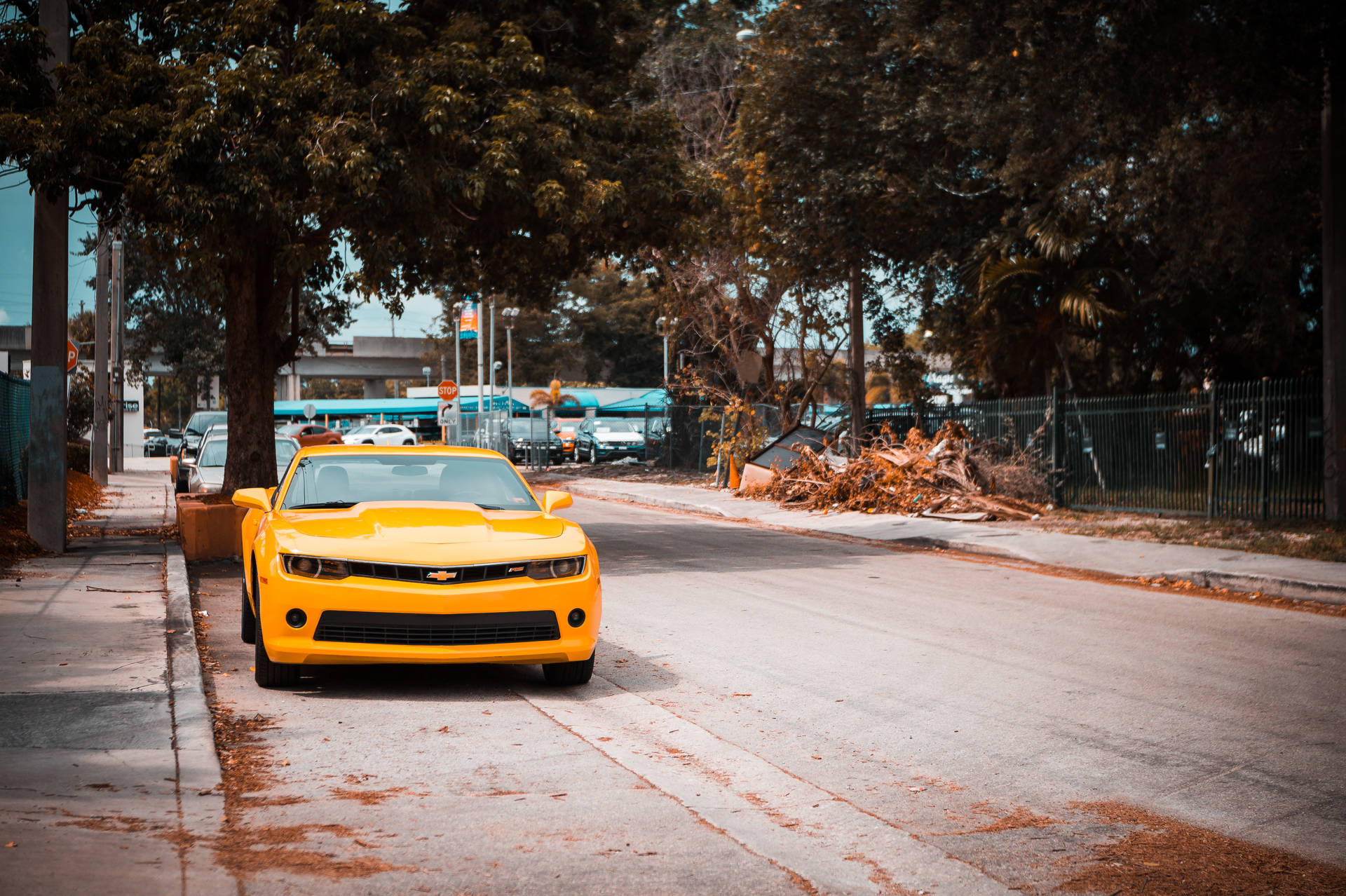 Chevrolet Camaro On Roadside Background