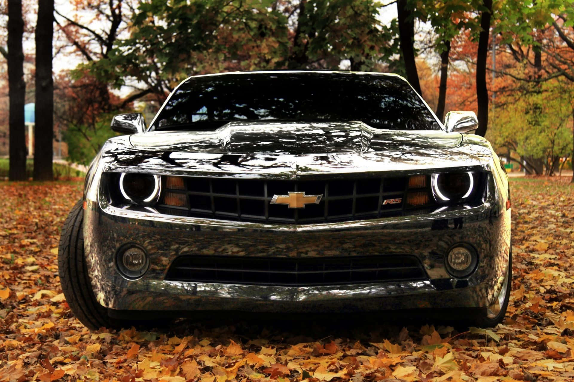 Chevrolet Camaro Wallpapers - Wallpapers For Desktop