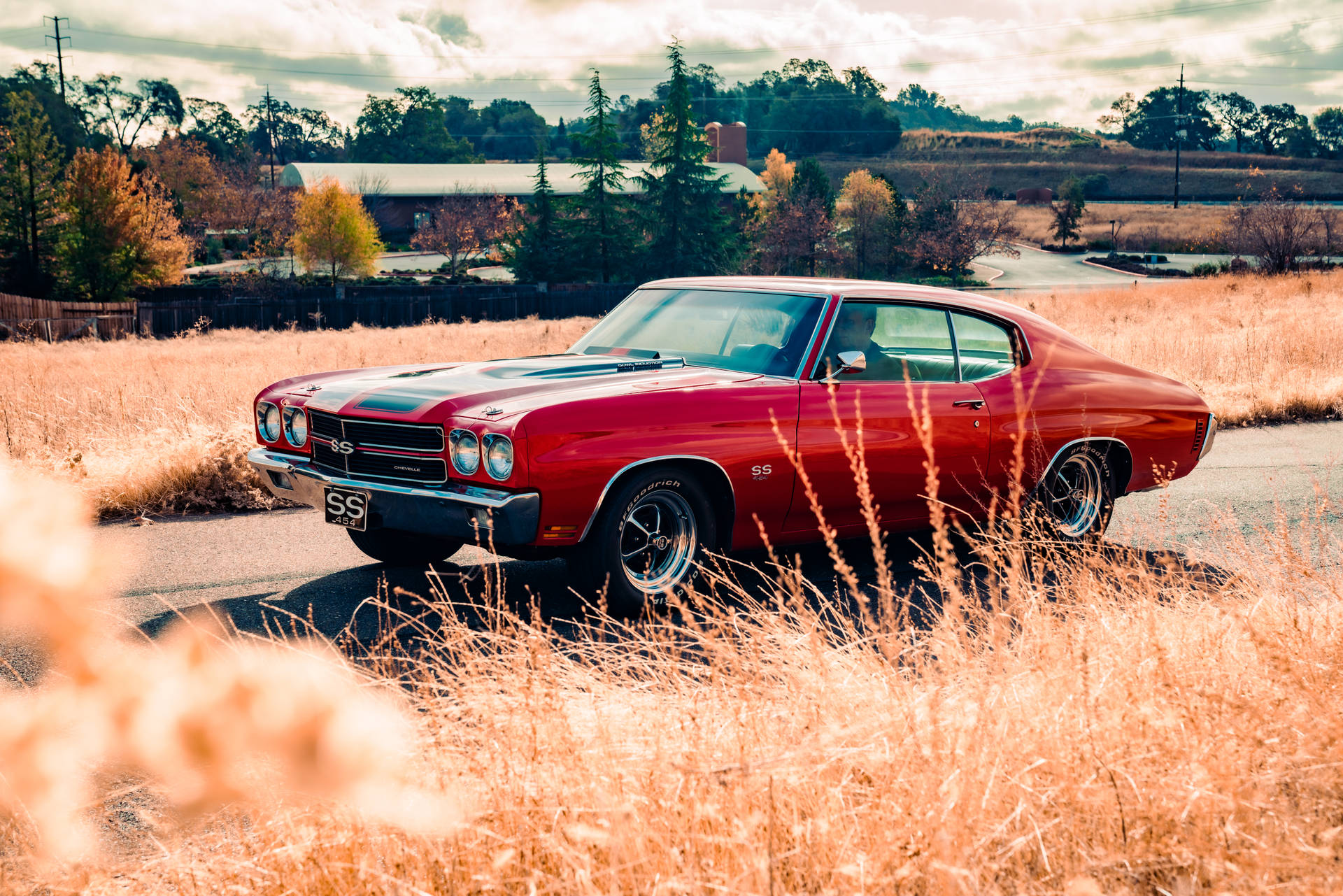 Chevrolet Chevelle On Wheat Field Background