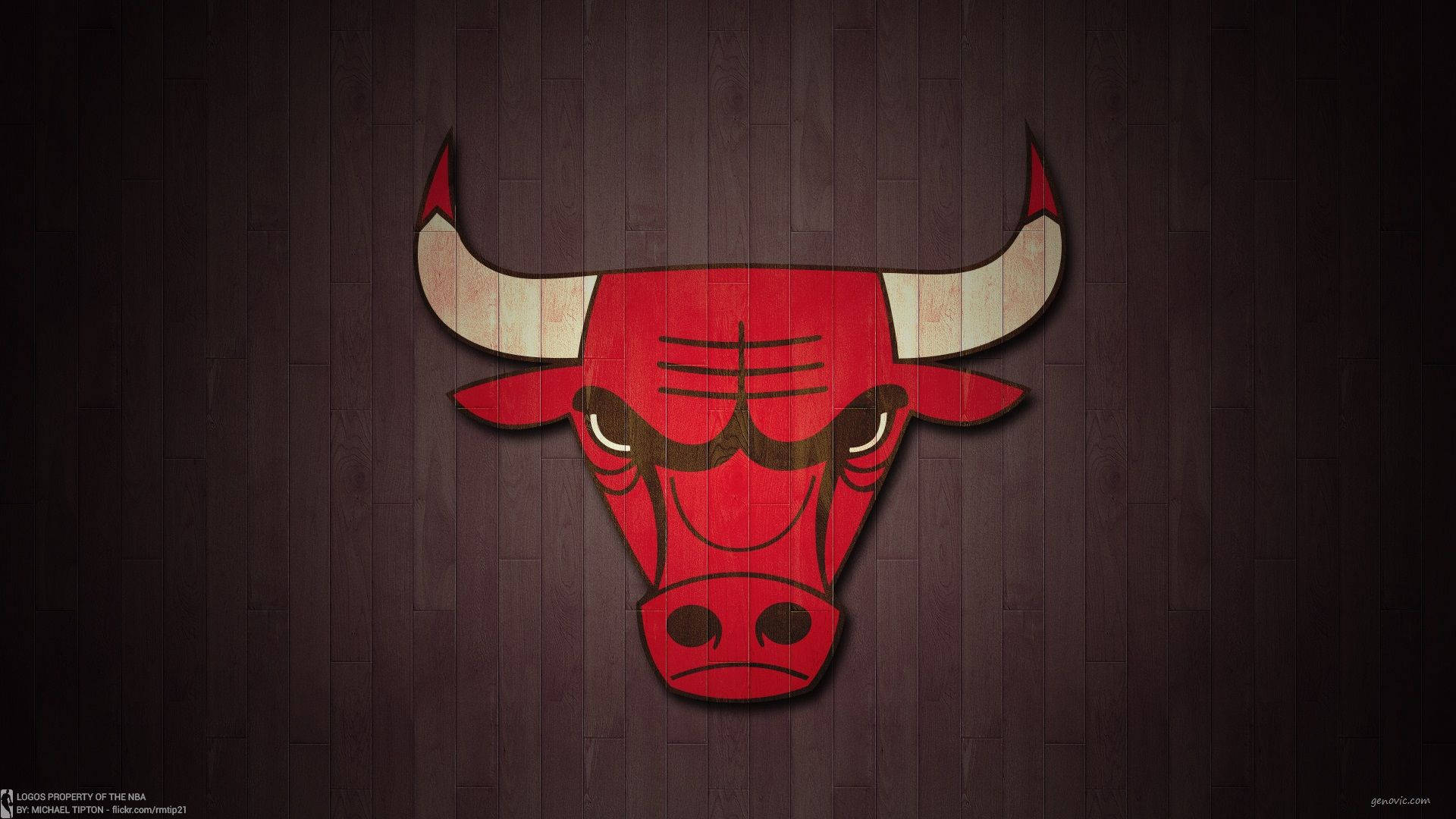 Chicago Bulls Basketball Court Logo Background