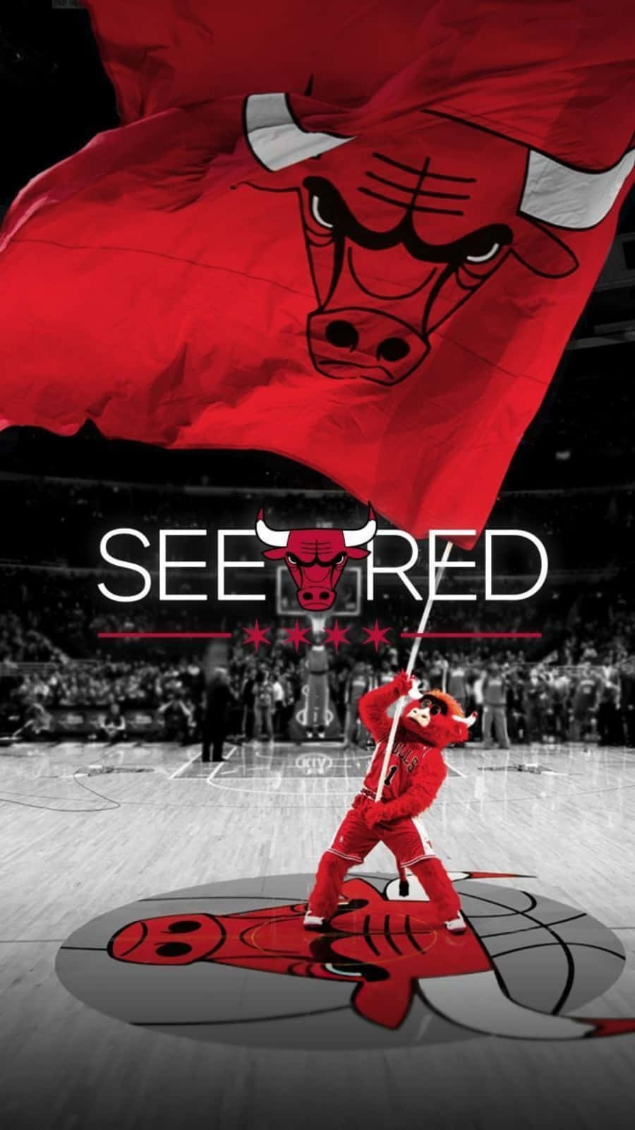 Chicago Bulls Benny The Bull Phone Background