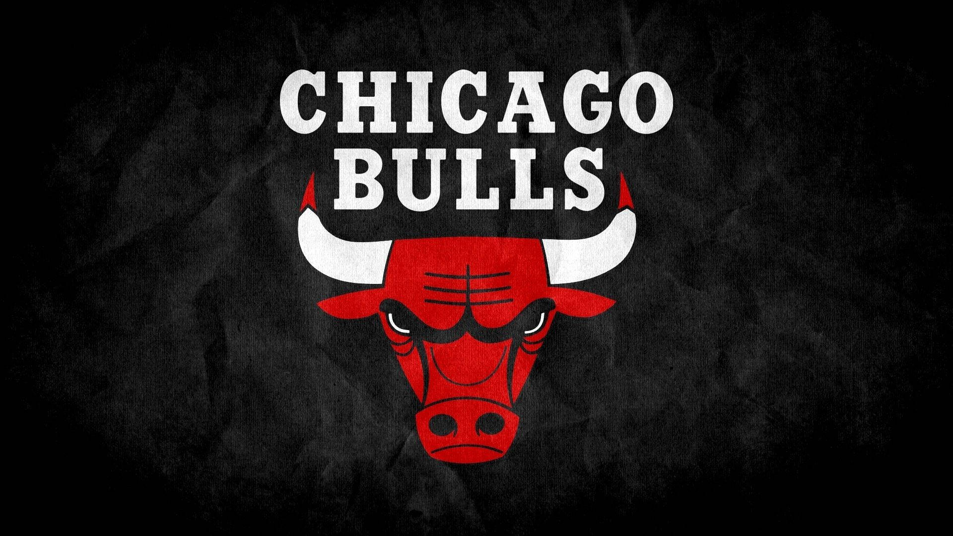 Chicago Bulls Classic Bulls Logo Background