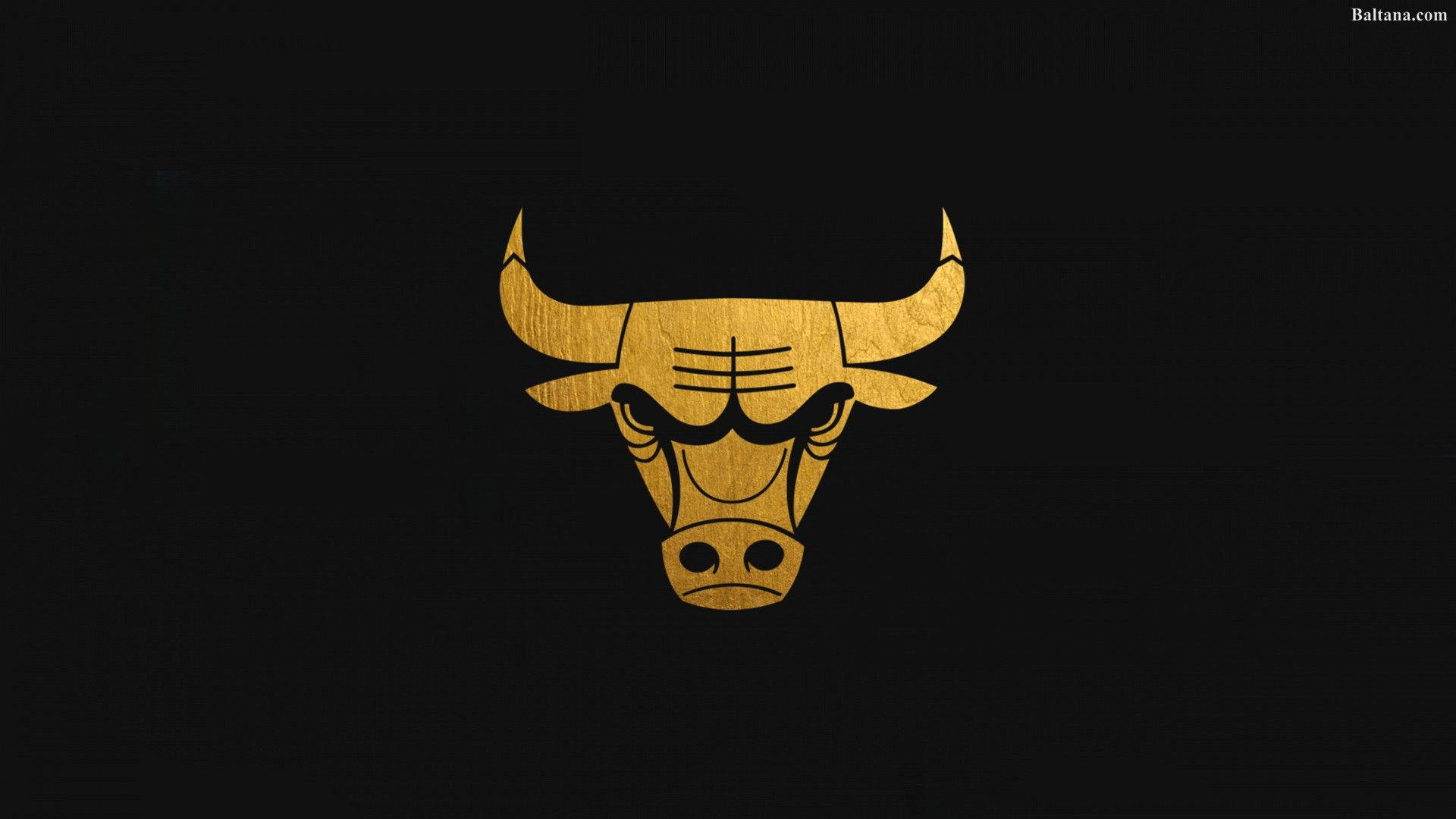 Chicago Bulls Gold Logo Background