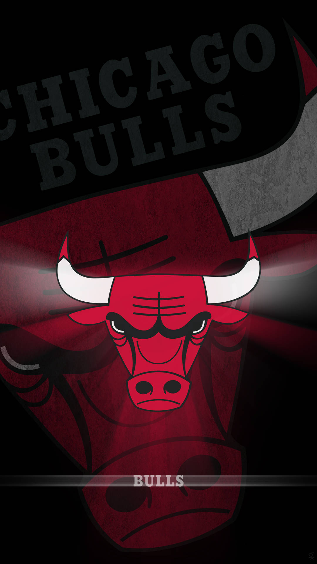 Chicago Bulls Mirrored Logo Background