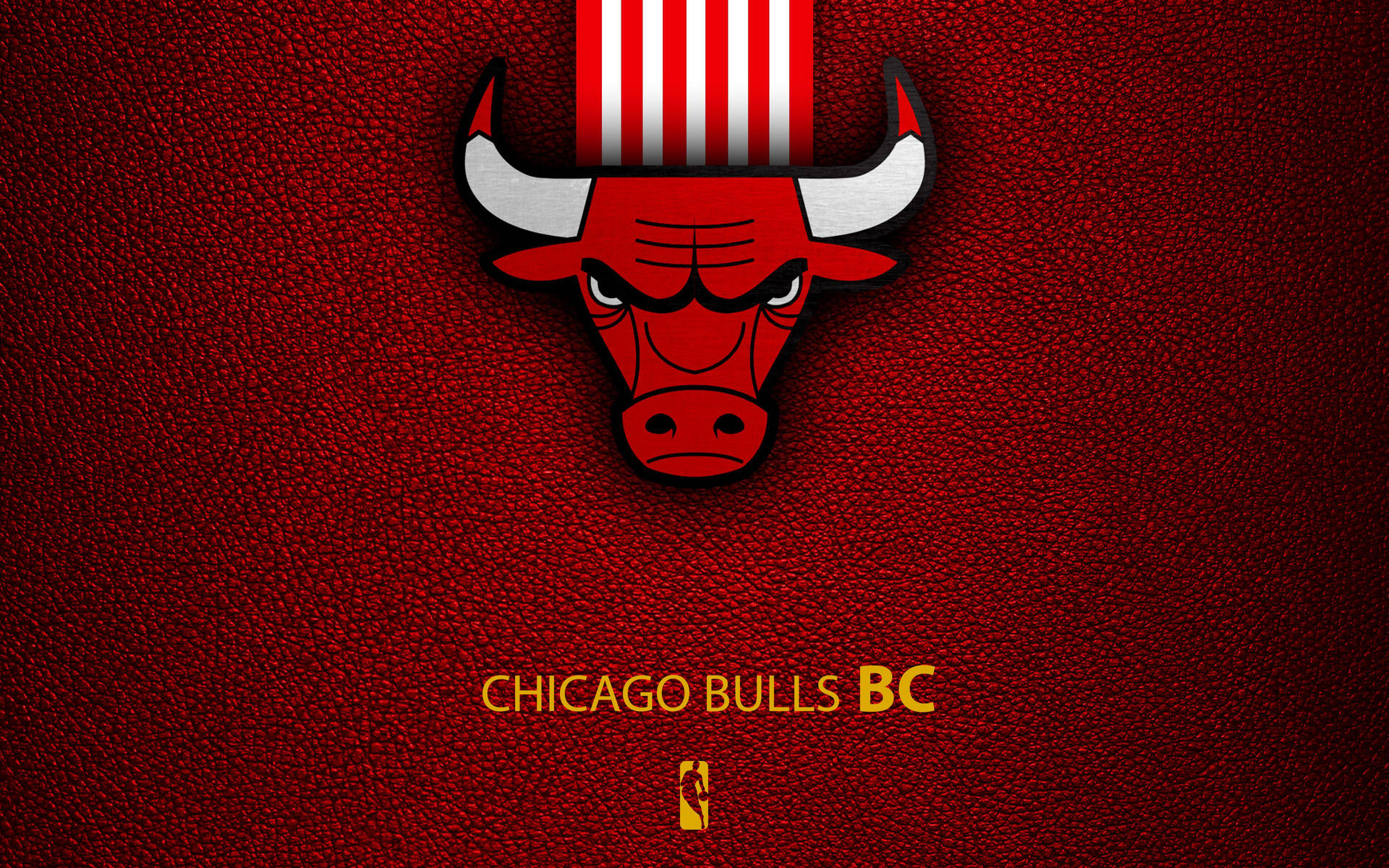 Chicago Bulls Textured Logo Background