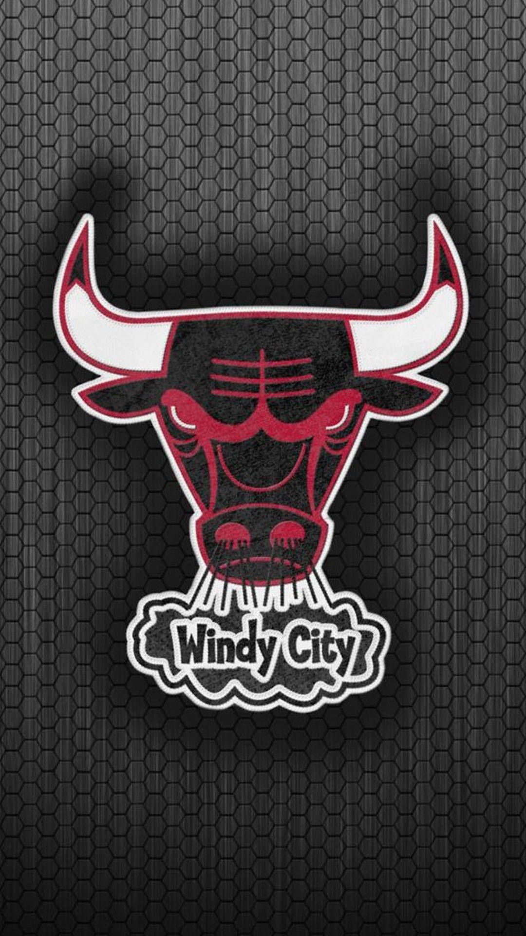 Chicago Bulls Windy City Patch Logo Background