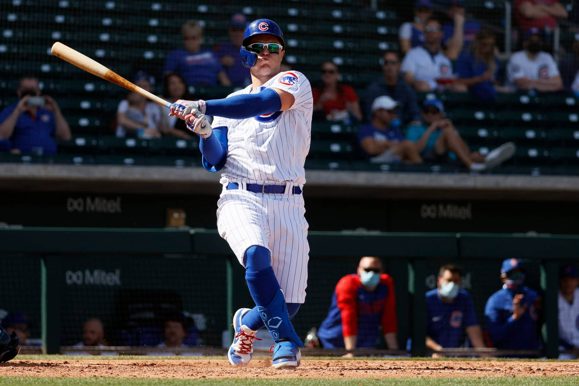 Chicago Cubs Player: Joc Pederson Background