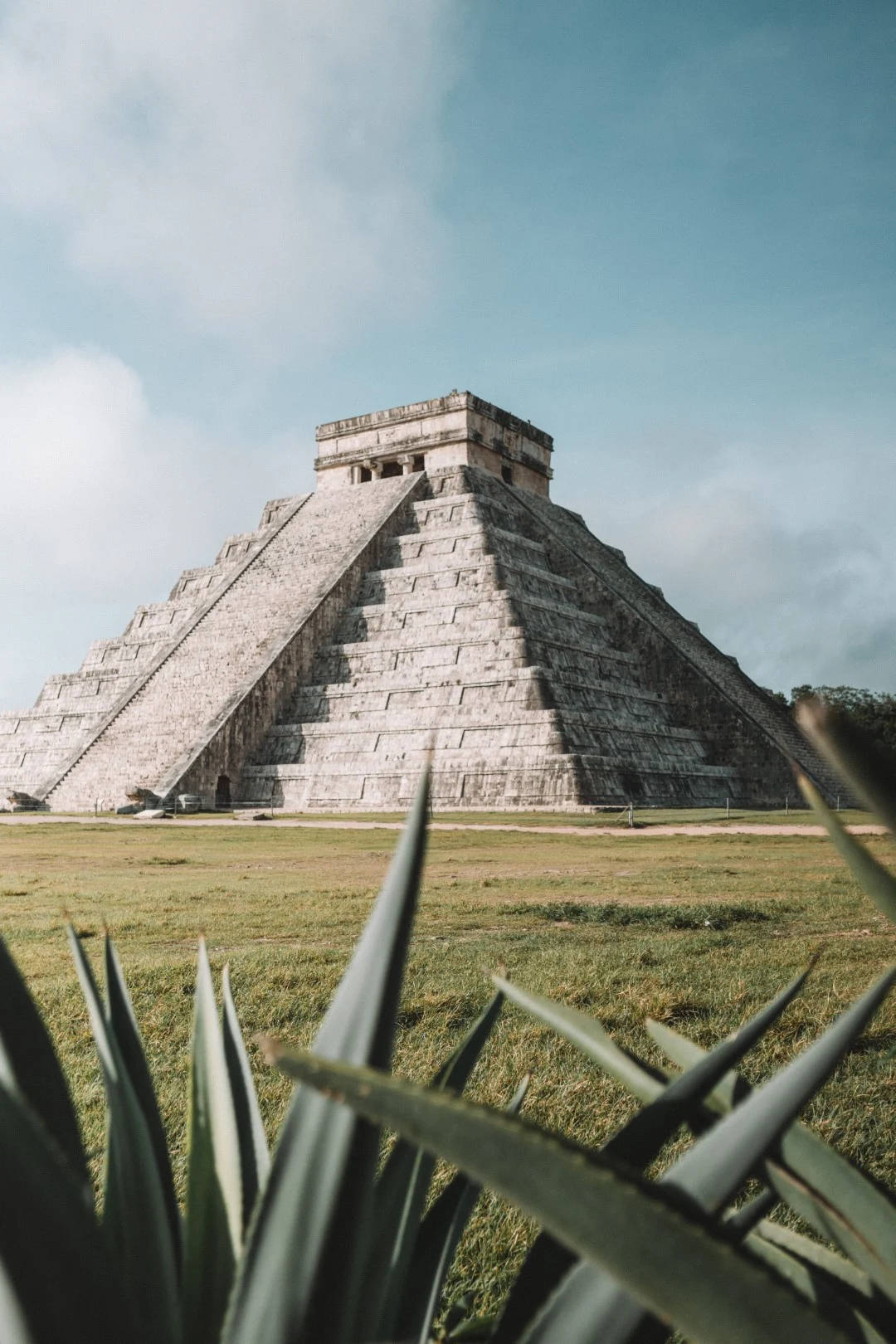 Chichen Itza Aloe Vera