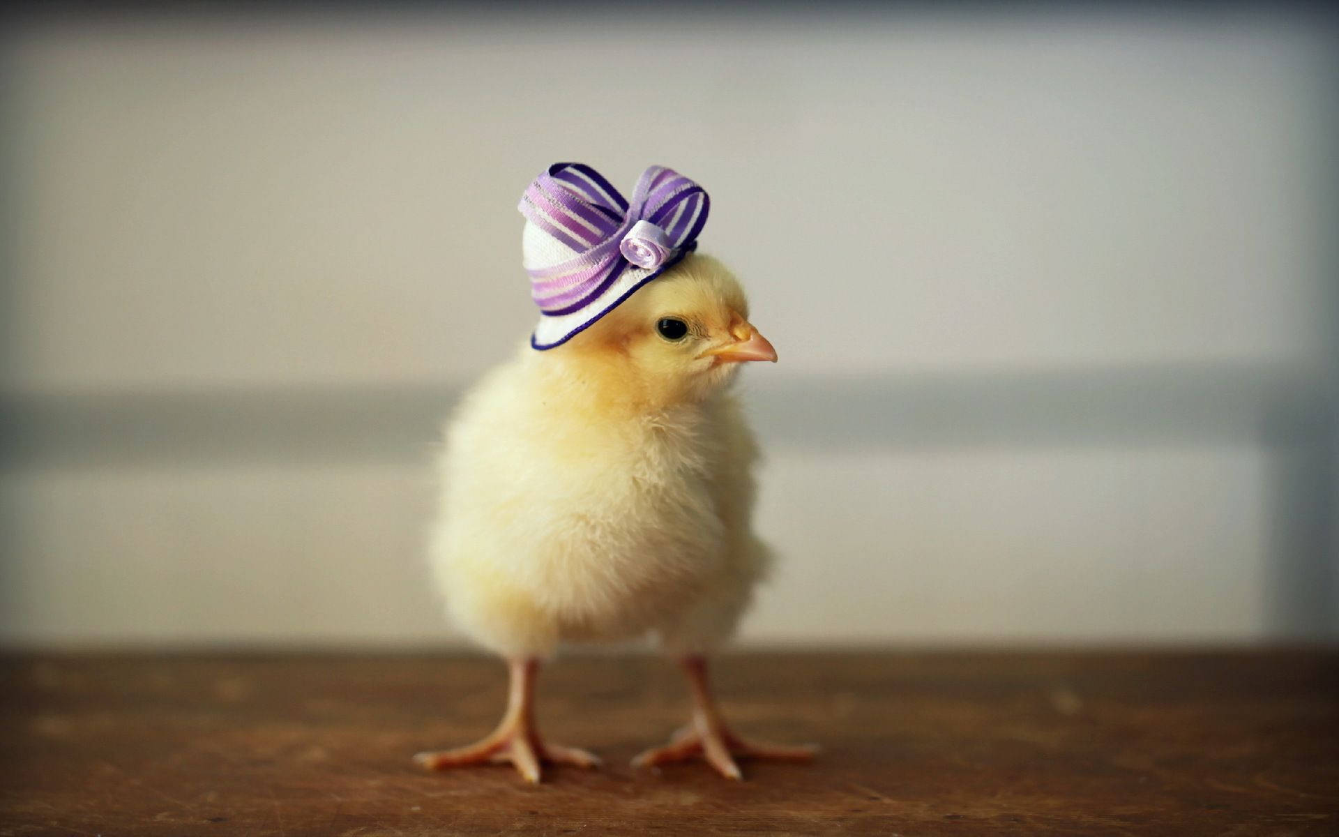 Chick Ribbon Hat