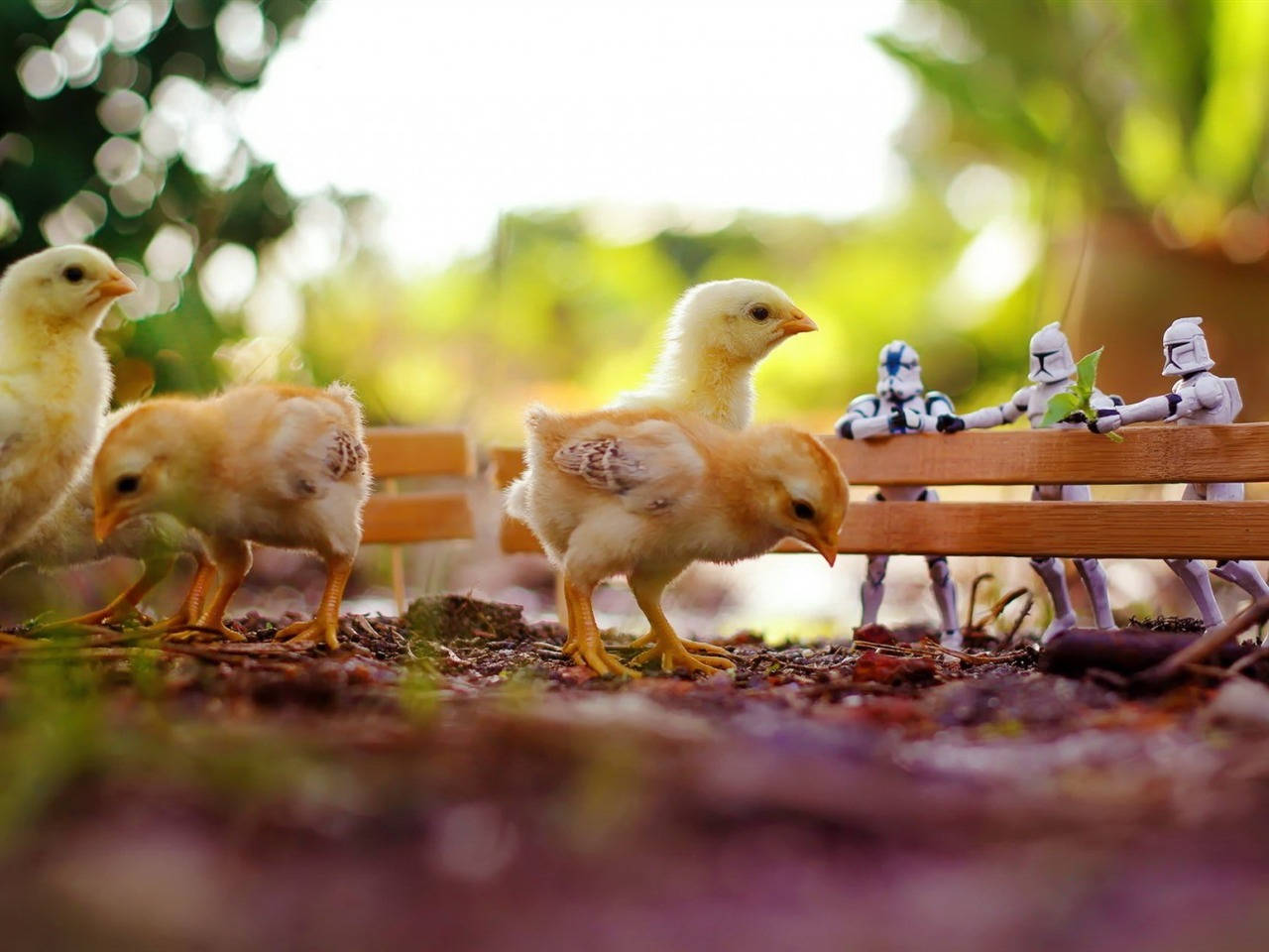 Chick With Stormtroopers Background