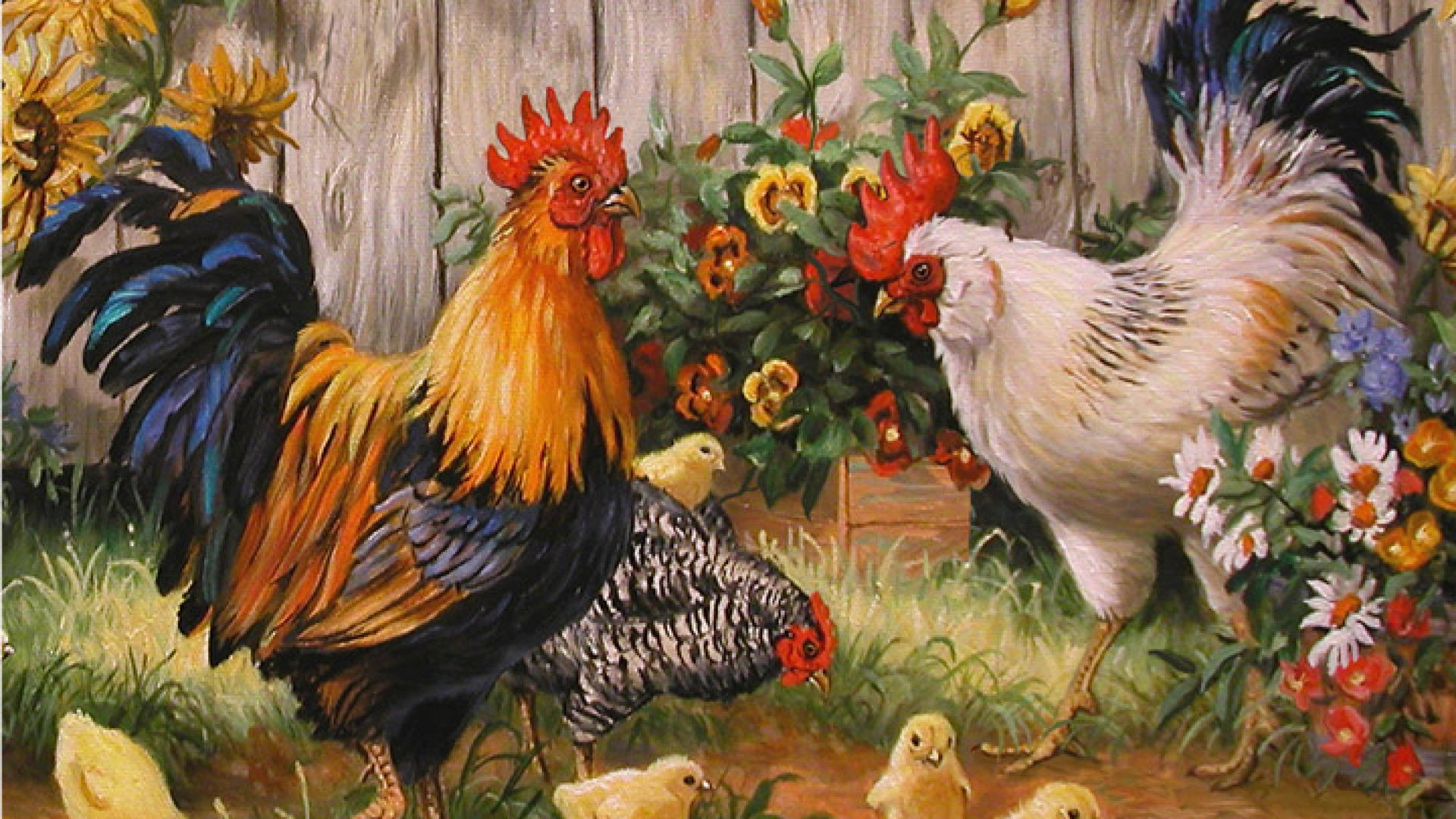 Chicken Rooster Family Painting Background