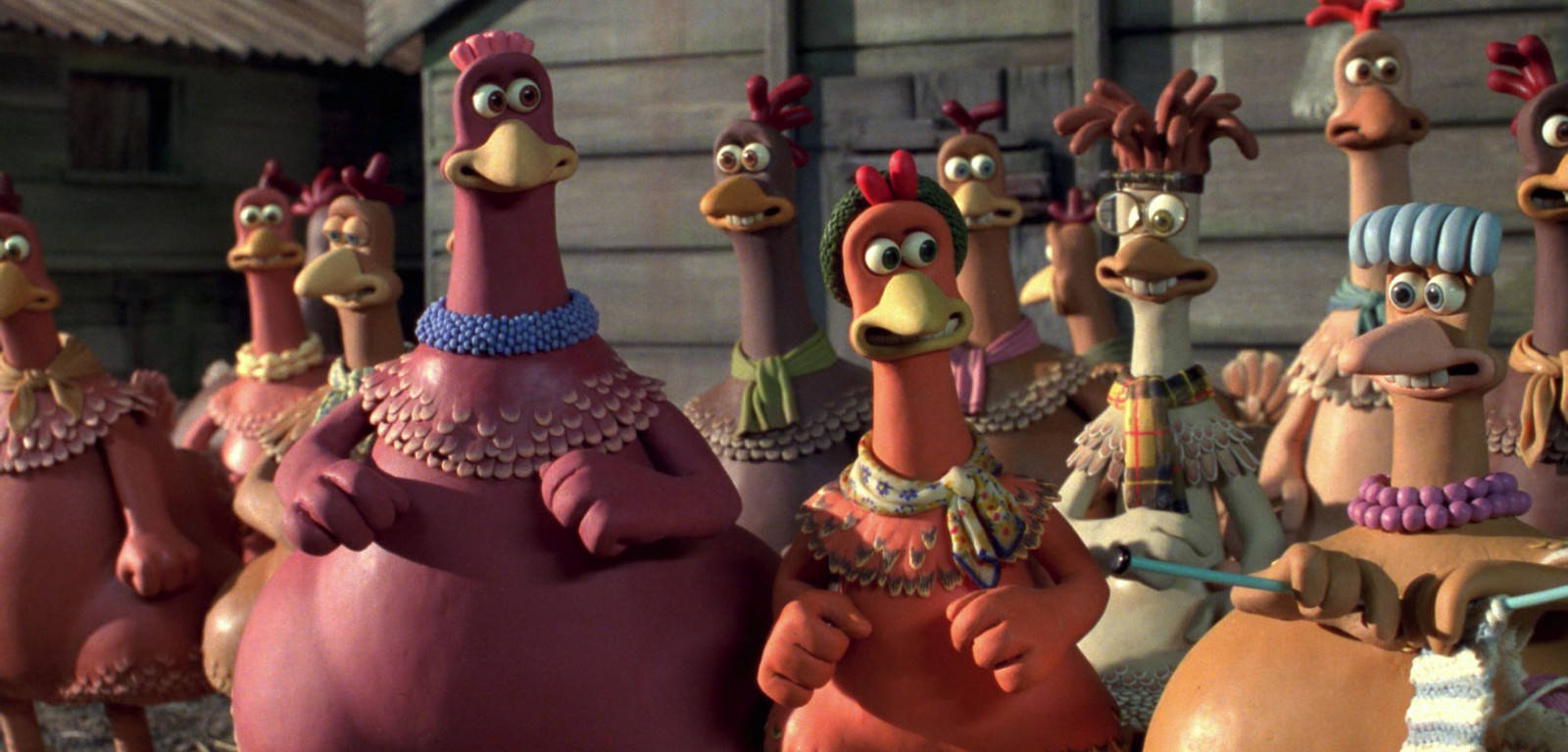 Chickens Talking At The Chicken Run Scene Background