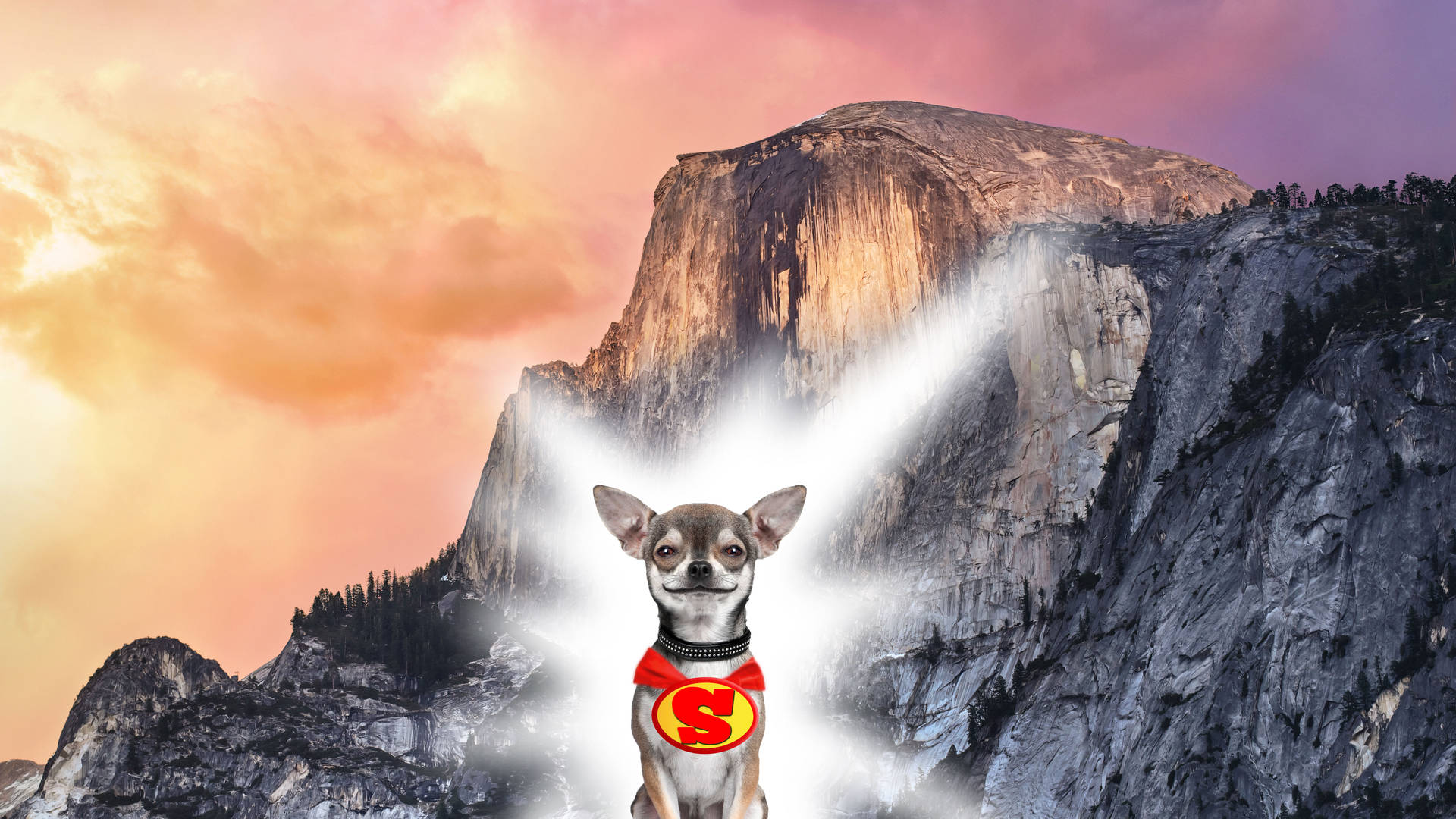 Chihuahua Superhero Poster Background