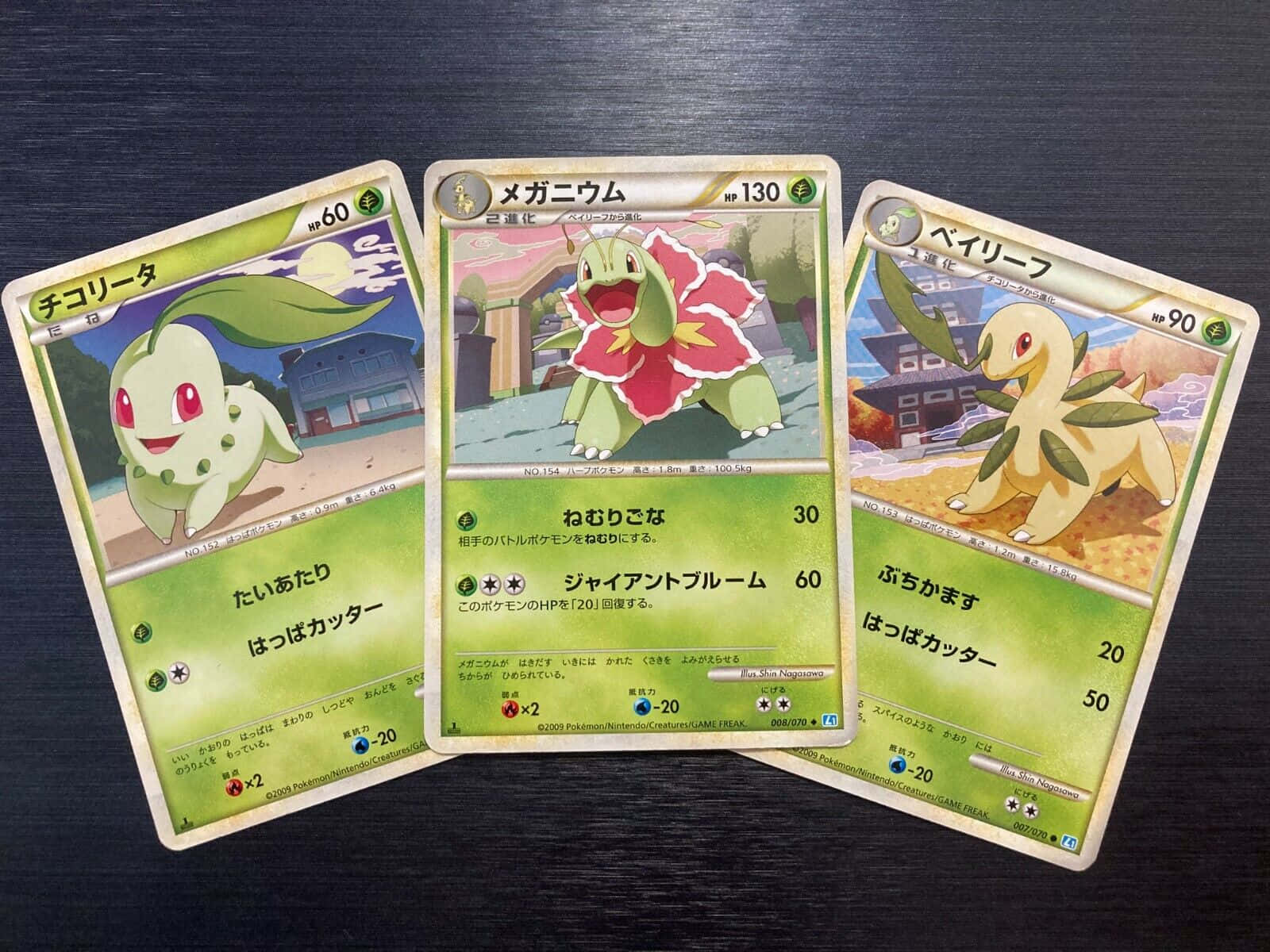 Chikorita Meganium Bayleef Trading Cards Background