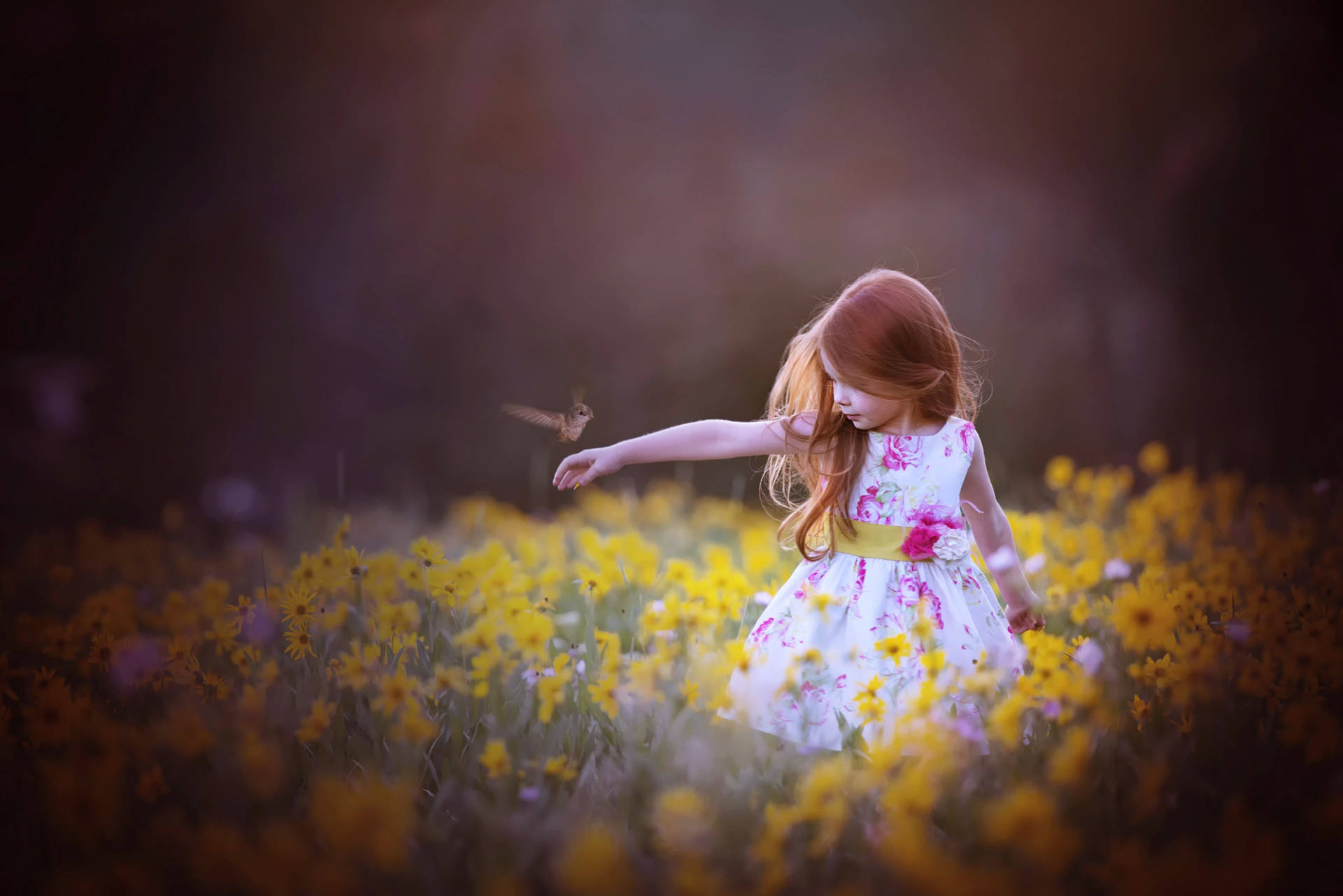 Child And Bird On A Daisies Field Background