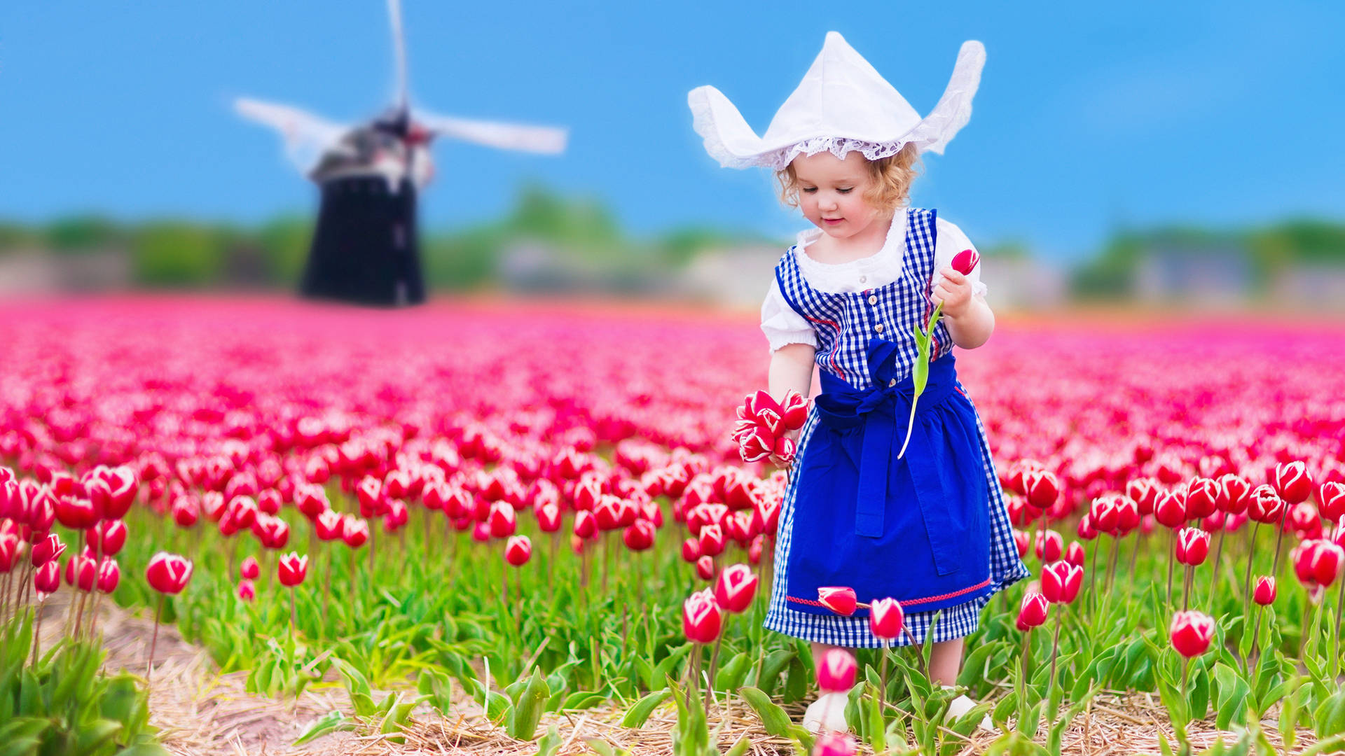 Child In Keukenhof Garden With Pink Tulips