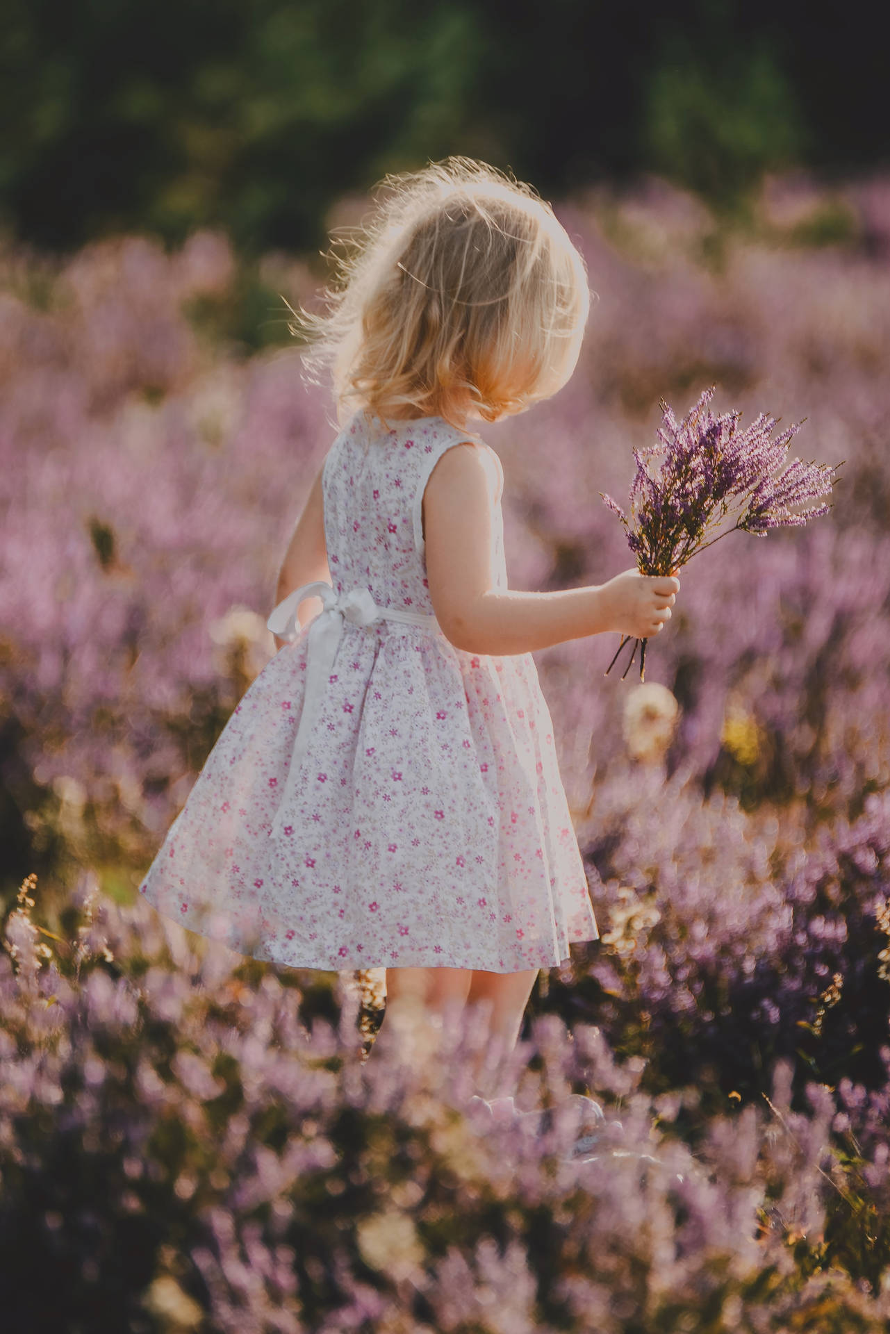Child With Lavender Bouquet Background