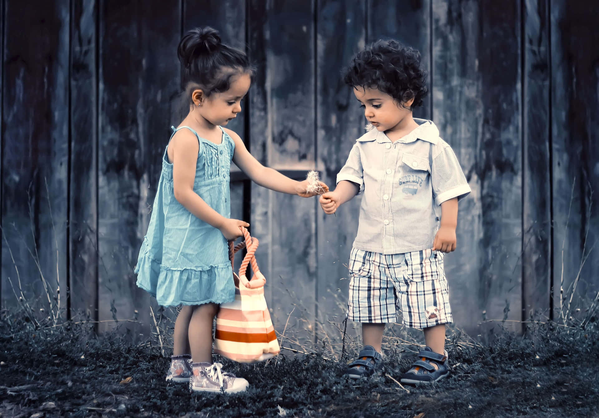 Childhood Connection: Reciprocal Sharing Moments