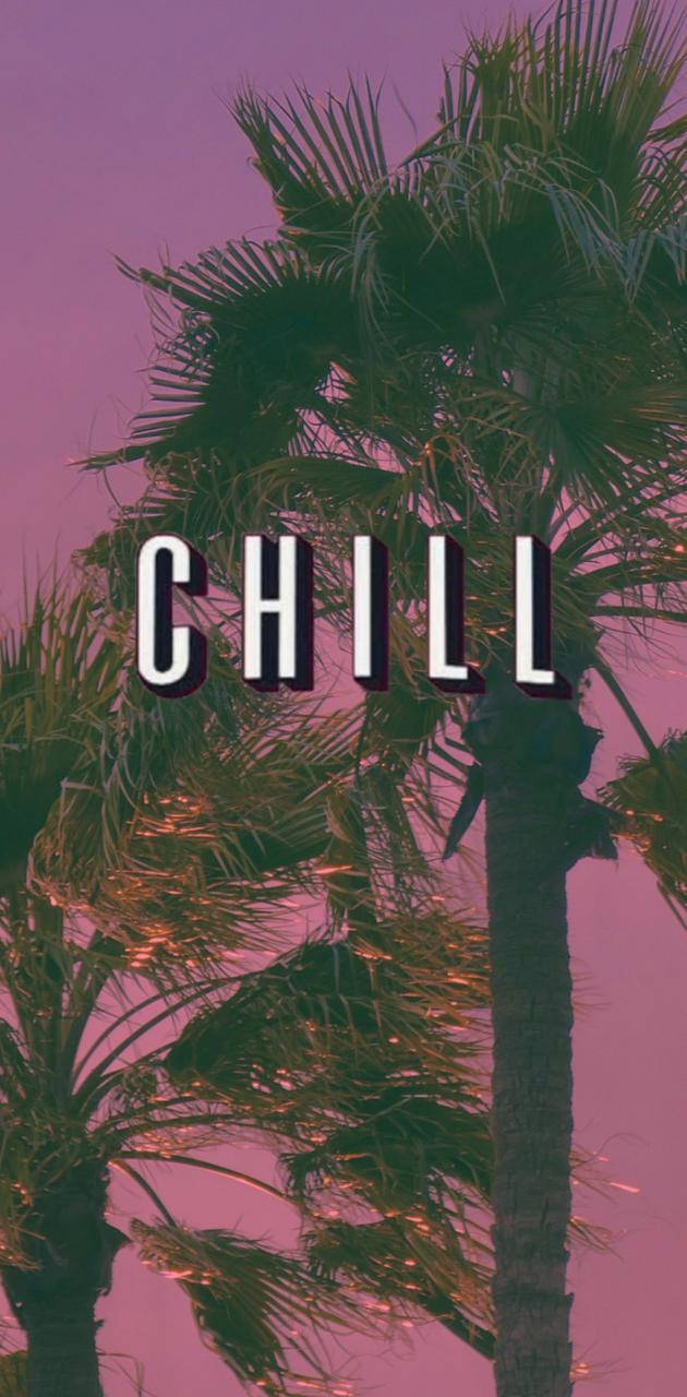 Chill Palm Trees Aesthetic Background