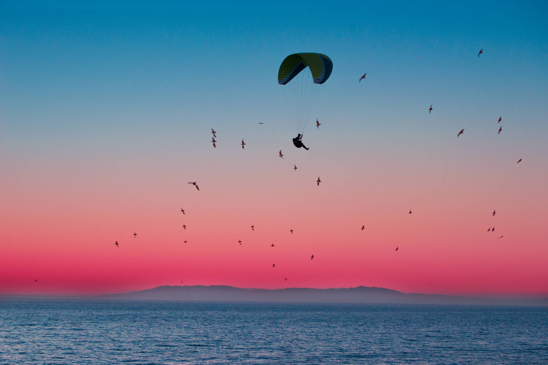 Chill Paragliding At Sunset