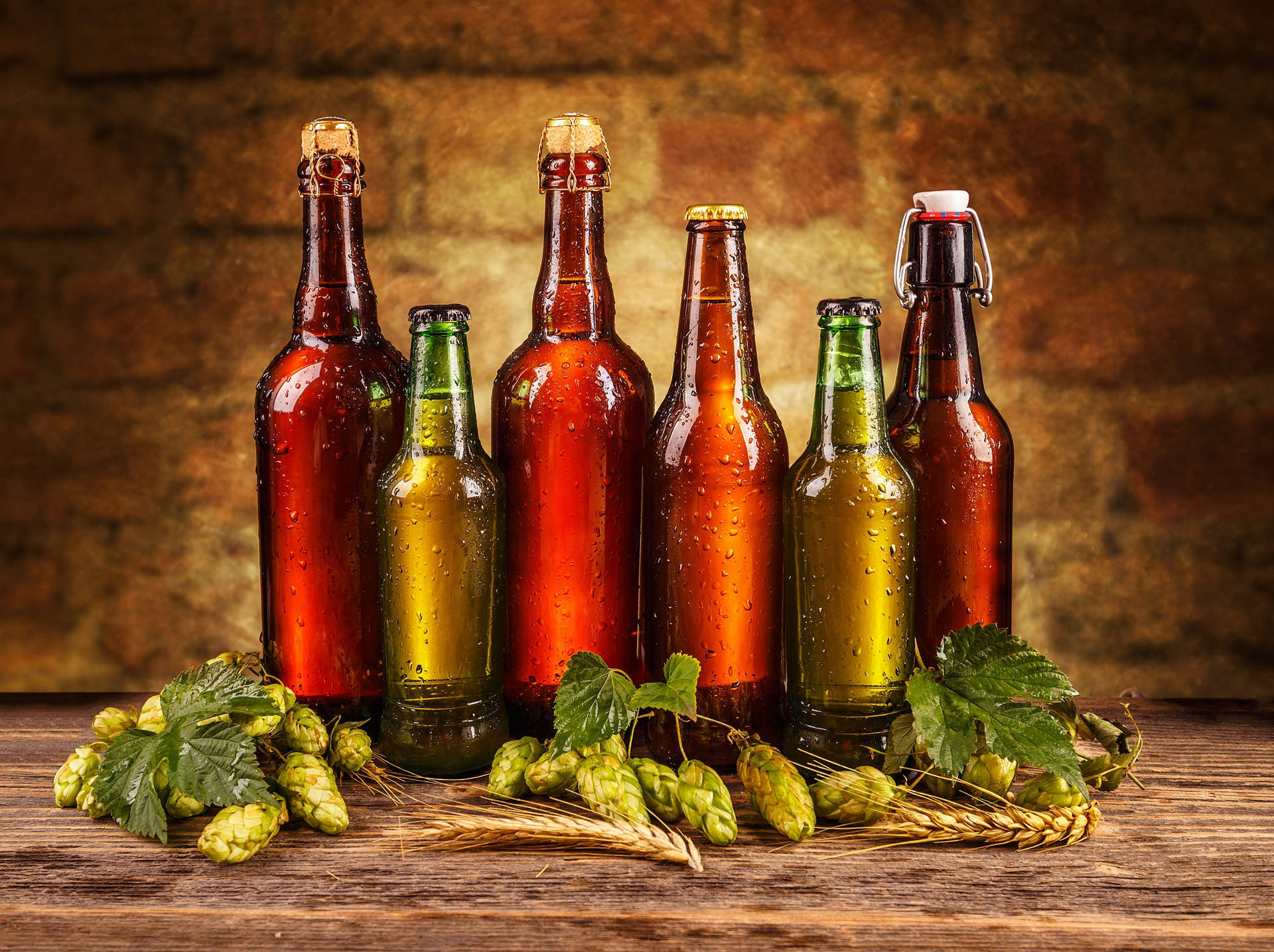 Chilled Beer Bottles Surrounded By Fresh Hops And Barleys Background