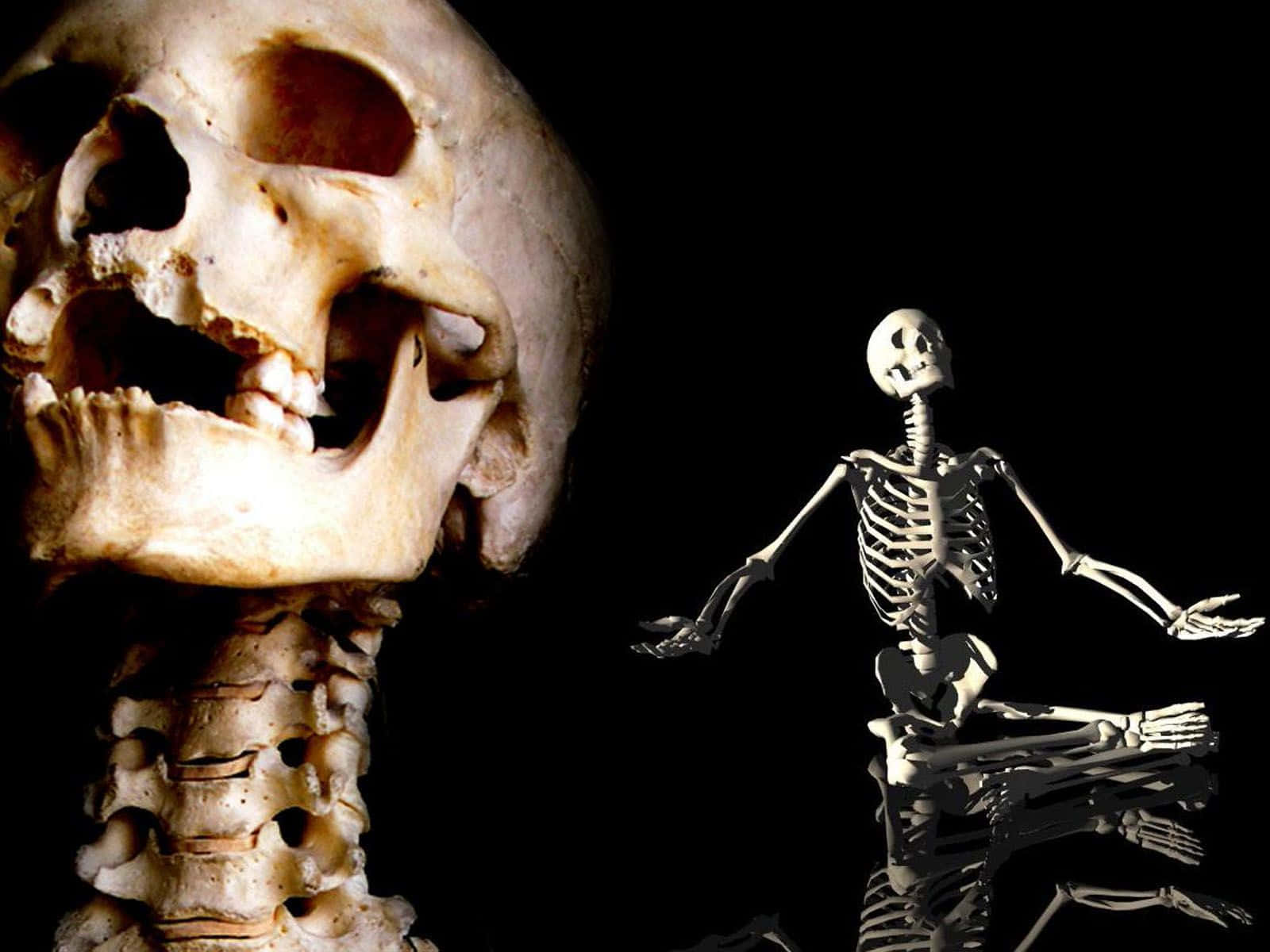 Chilling Halloween Skeleton Background