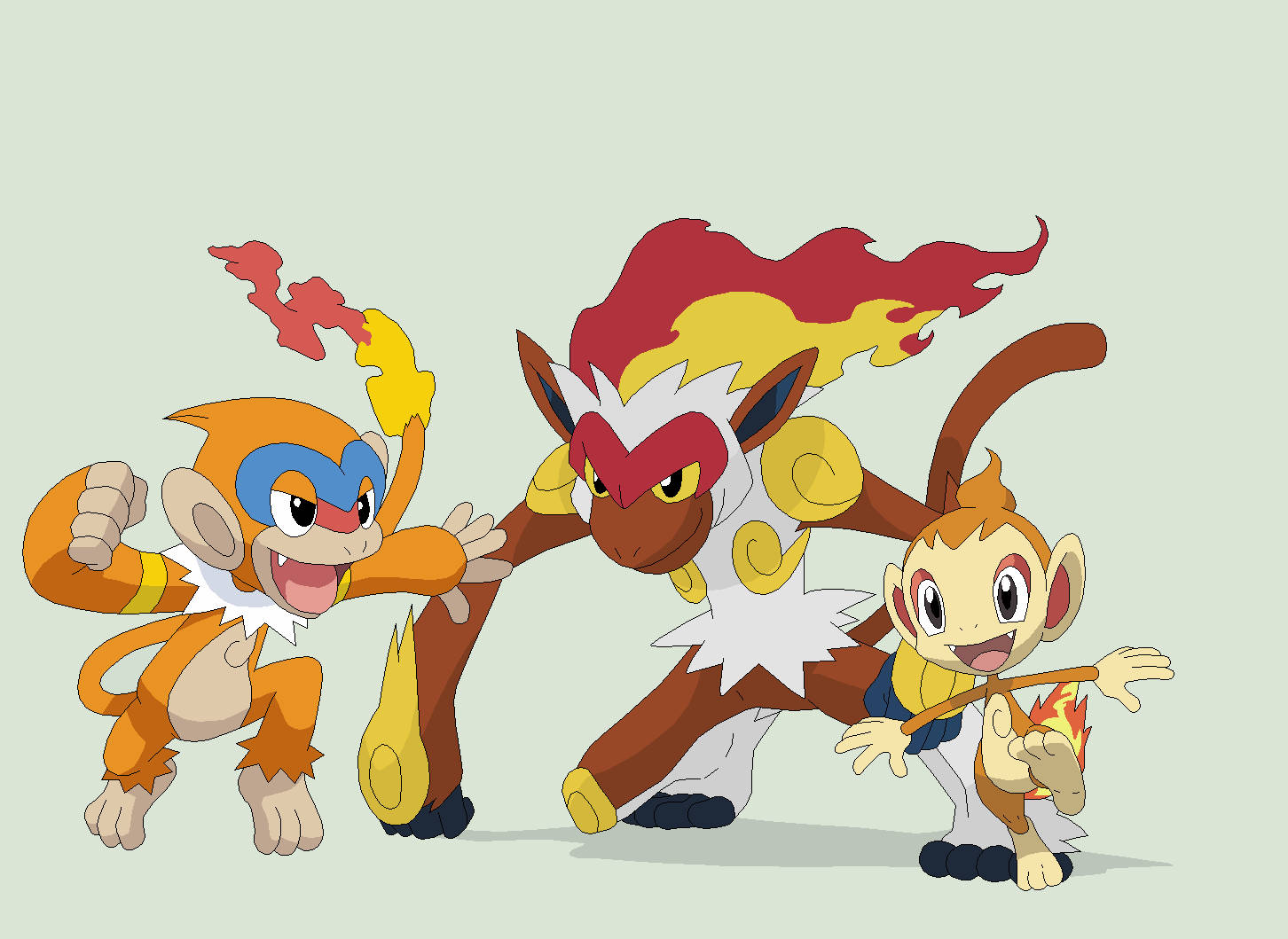 Chimchar With Monferno And Infernape Background