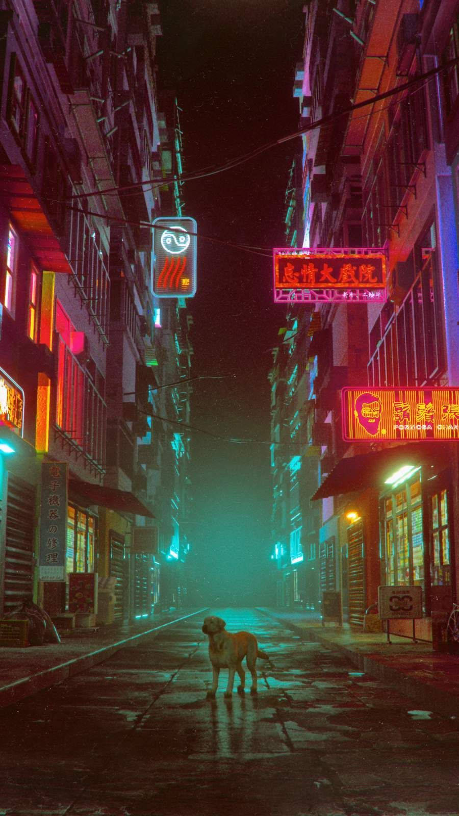 Chinatown Lone Dog Background