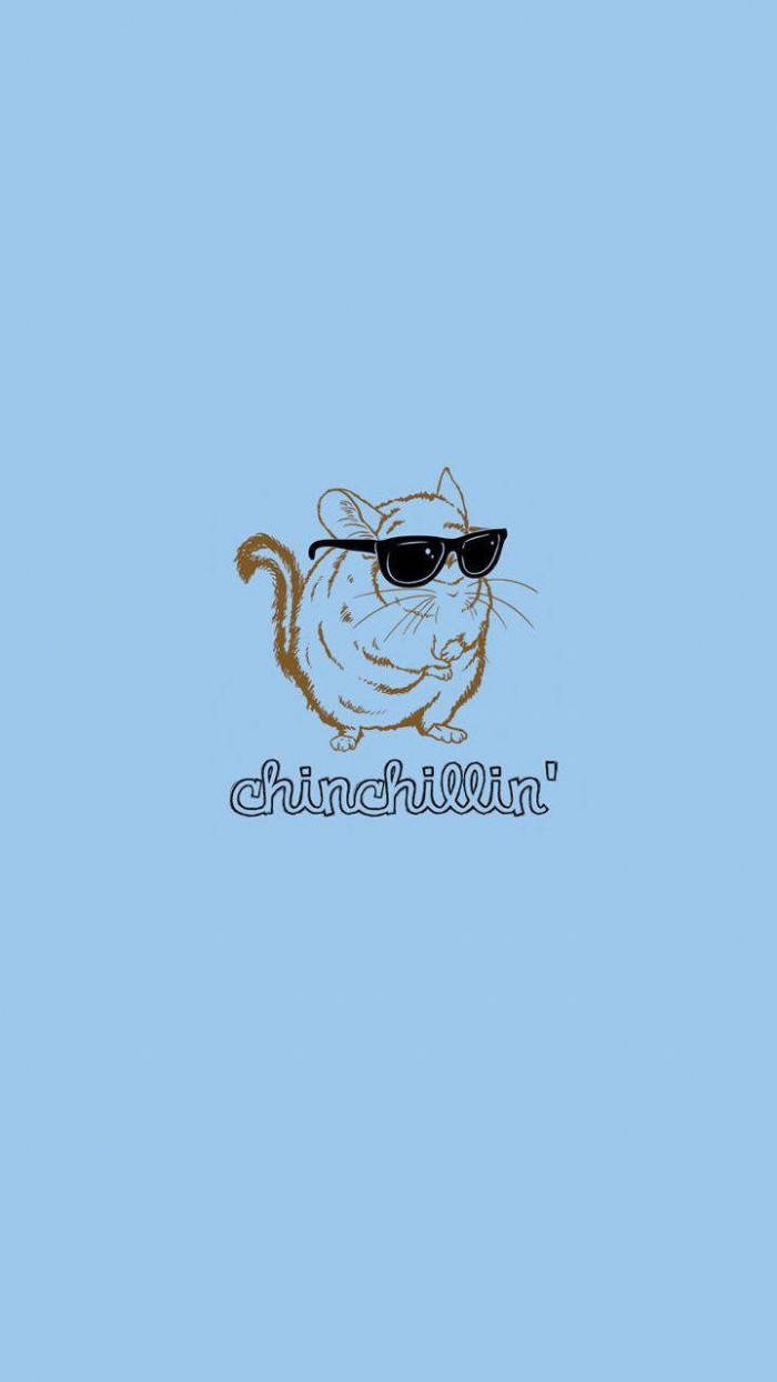 Chinchillin' Chinchilla Funny Phone Background