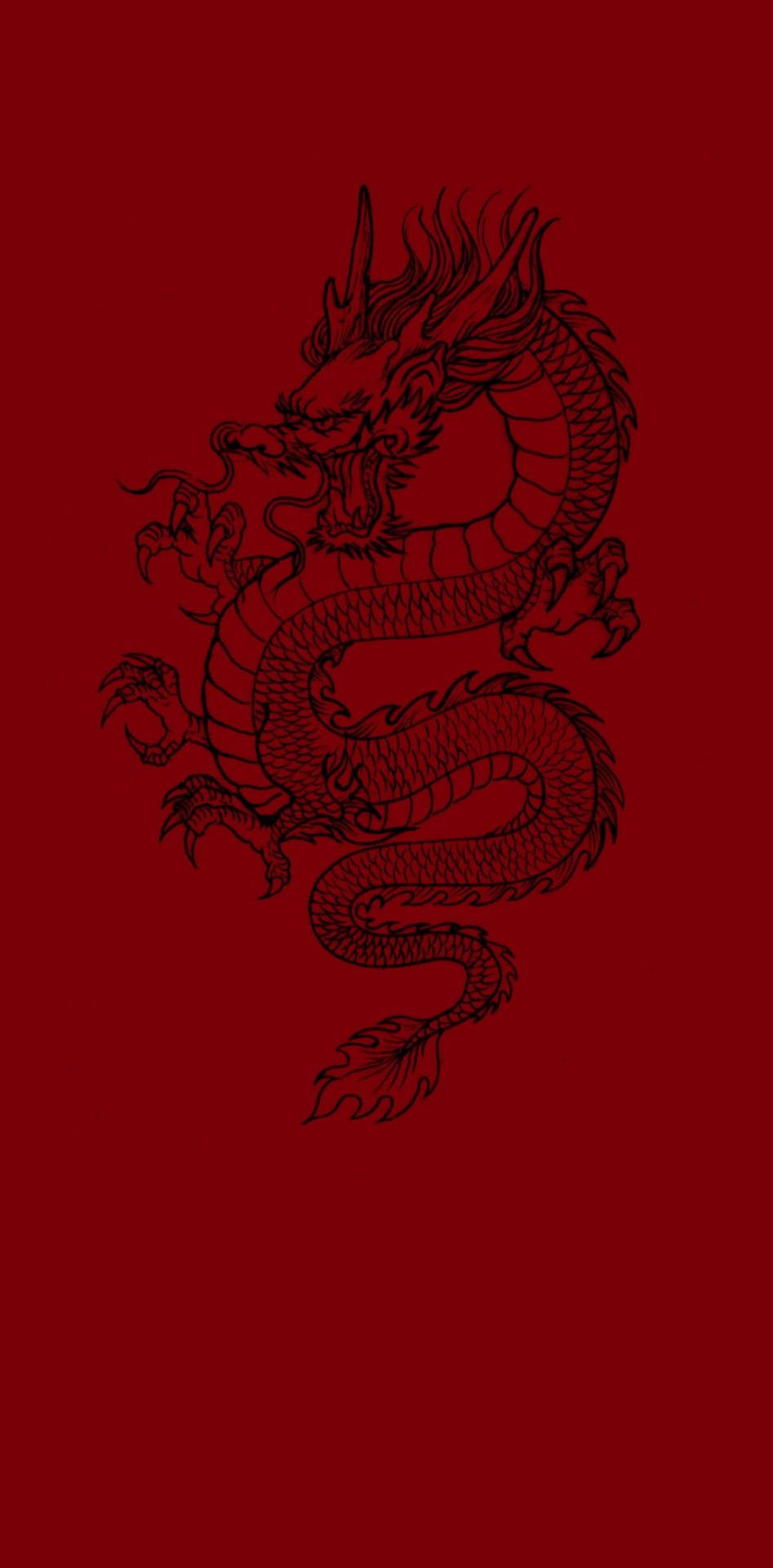 Chinese Dark Red Dragon Background