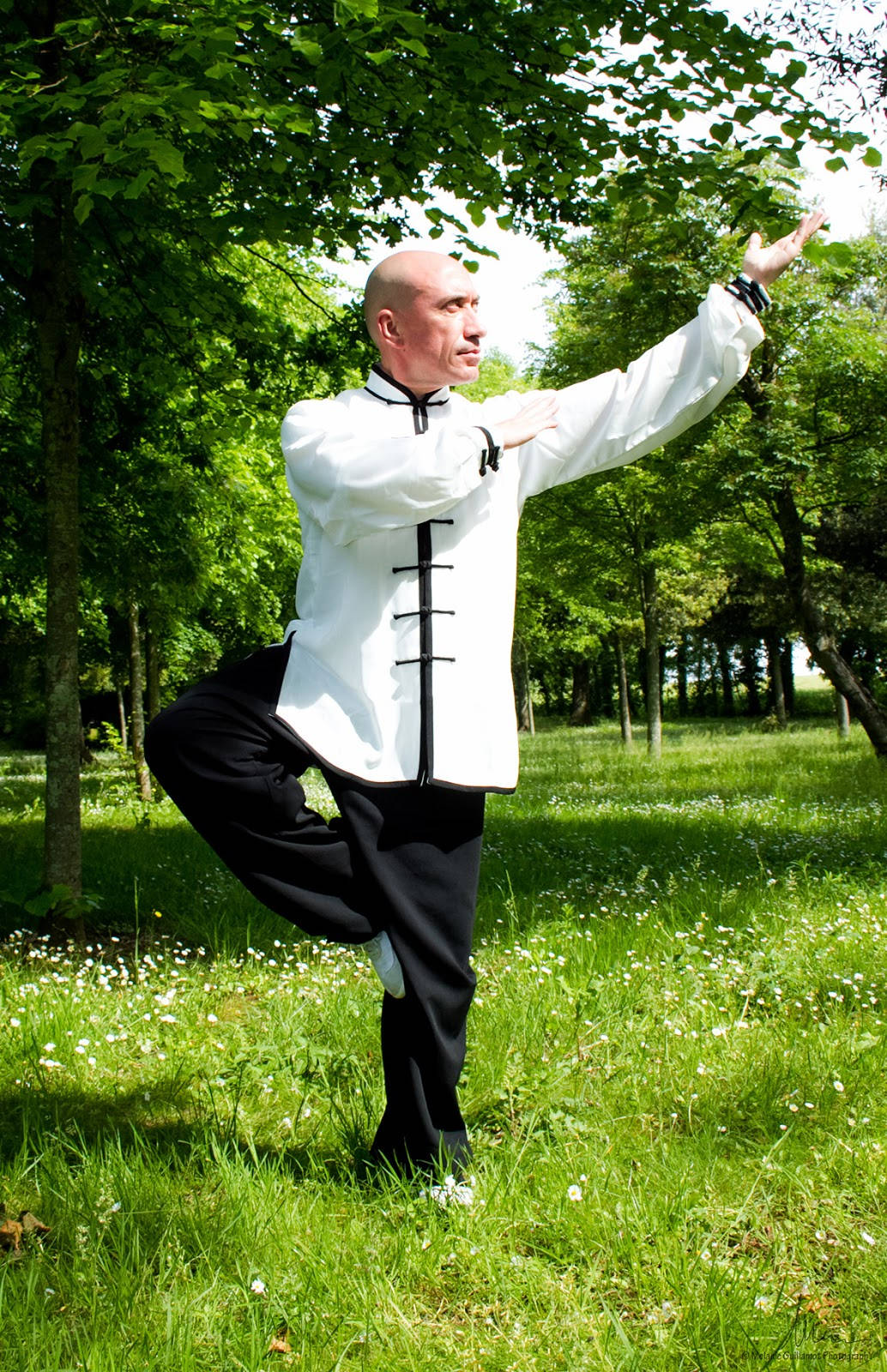 Chinese Medicine Healing Practice Qi Gong Background