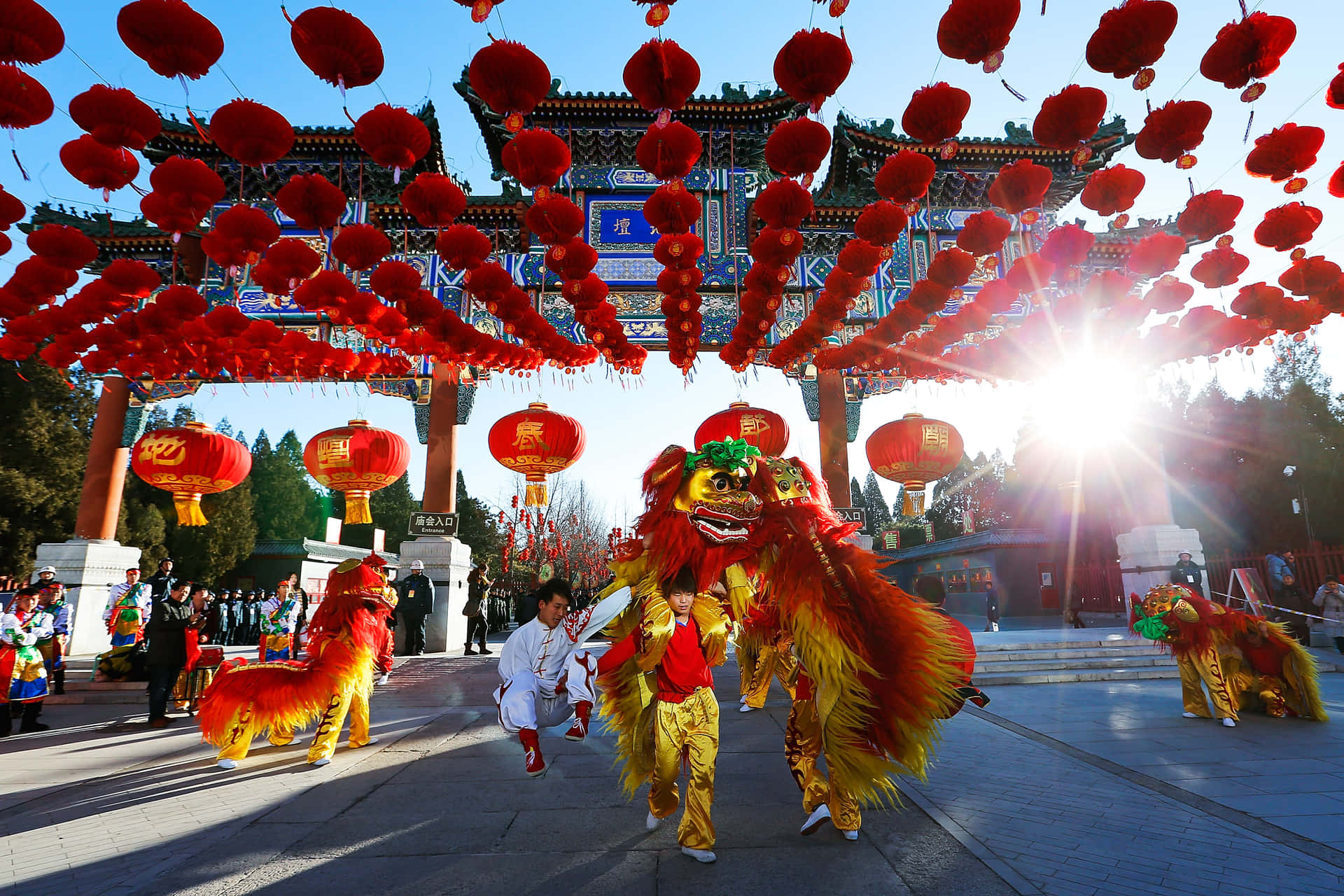 Chinese New Year 2022 Dragon Dance Background