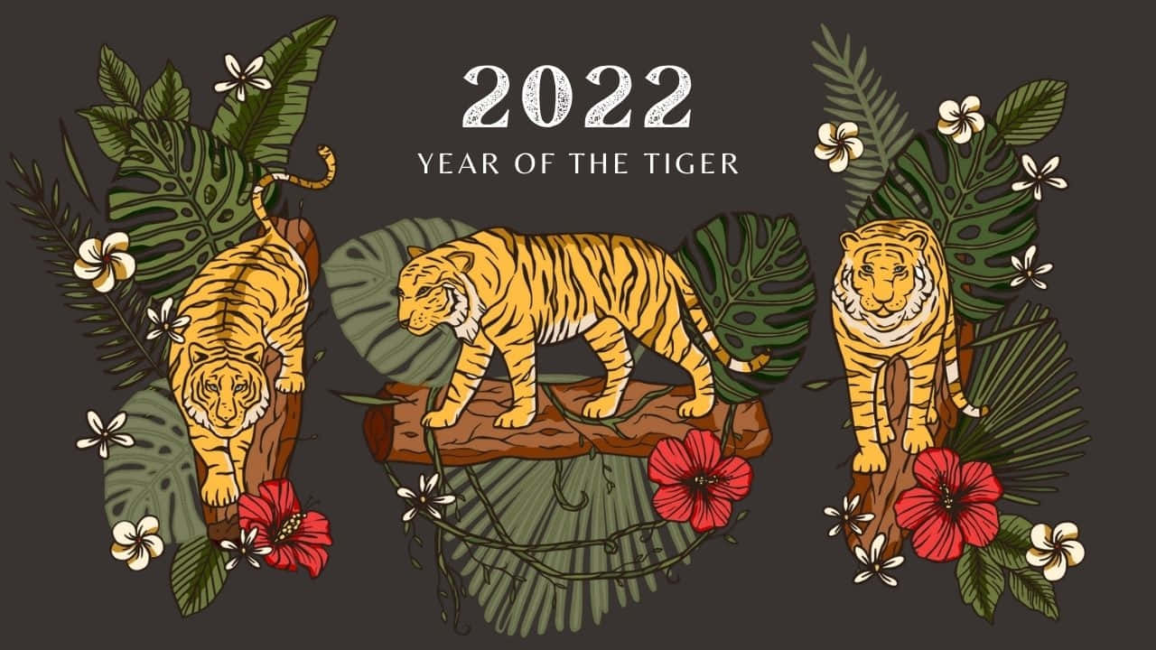 Chinese New Year 2022 Three Tigers Background