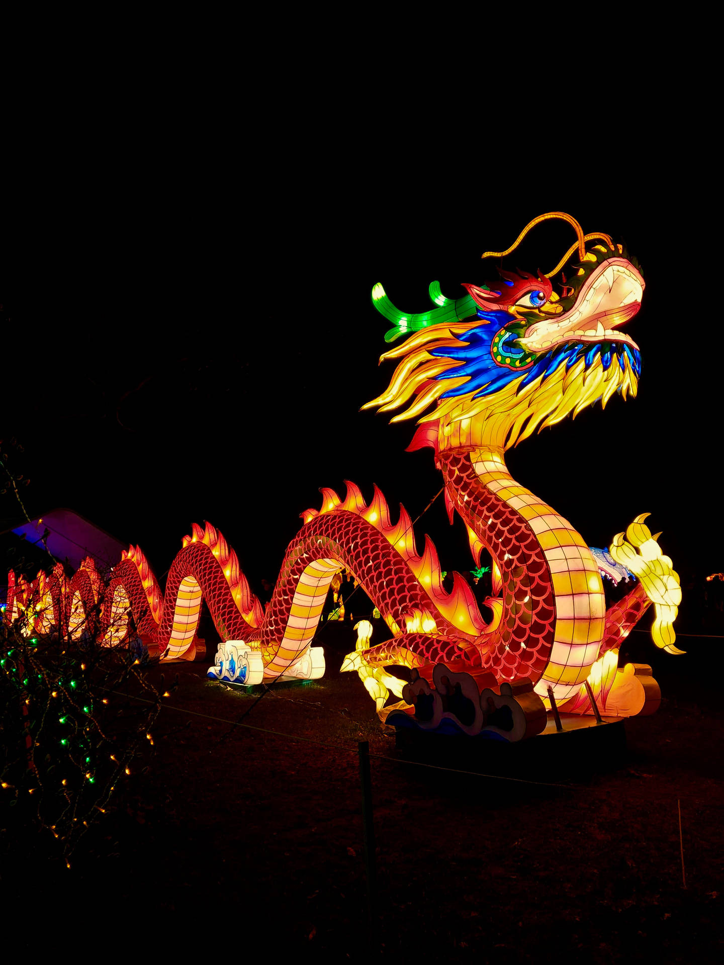 Chinese New Year Dragon Light Lantern Background