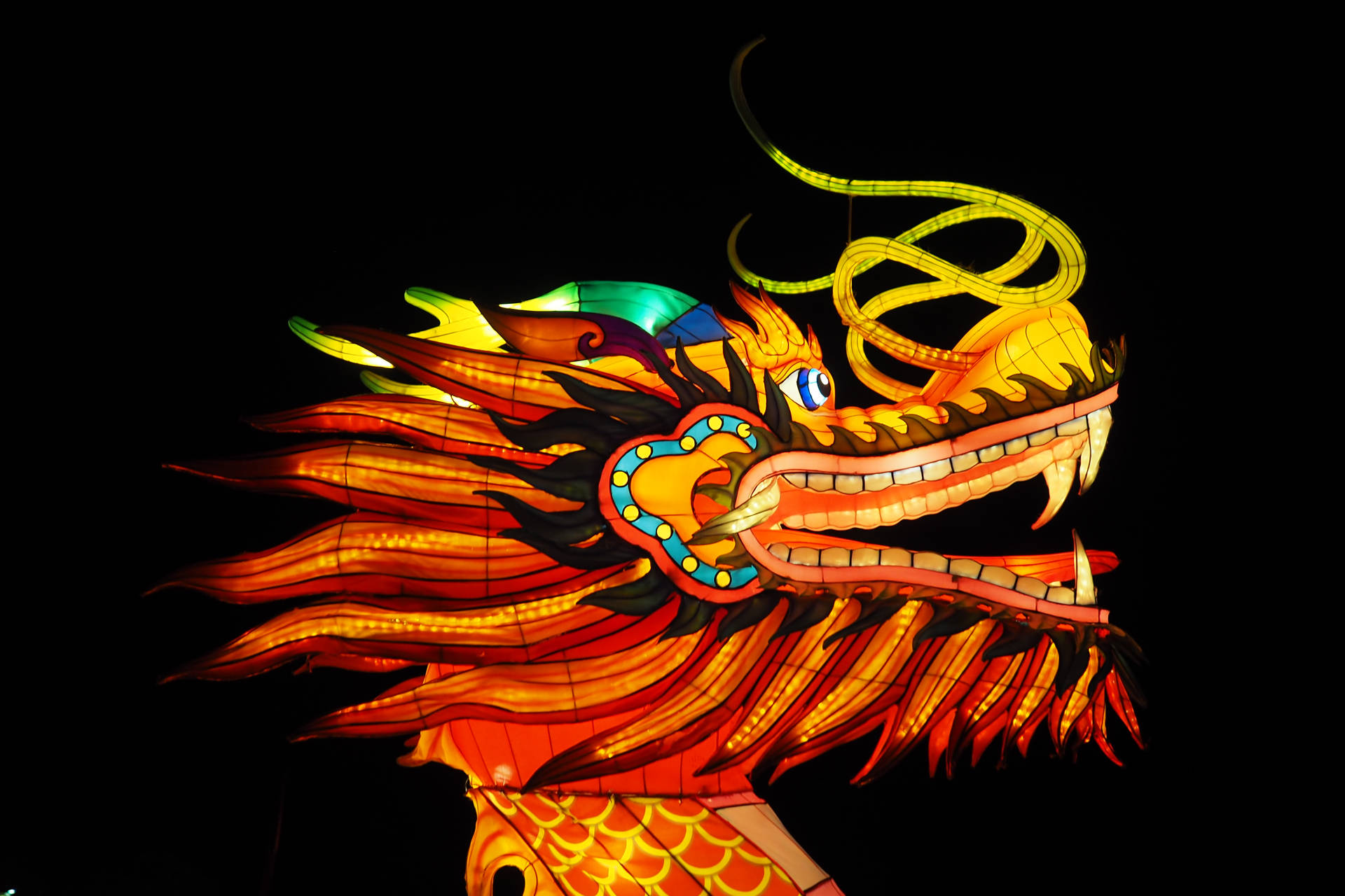 Chinese New Year Dragon Light Background