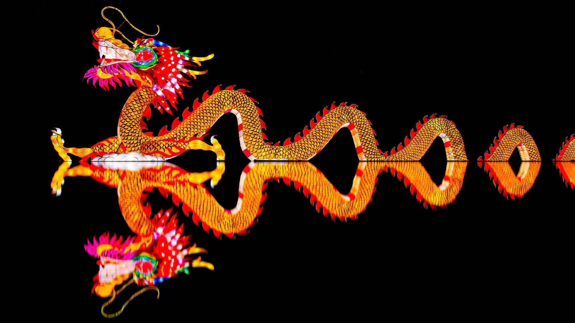 Chinese New Year Dragon Reflection Background