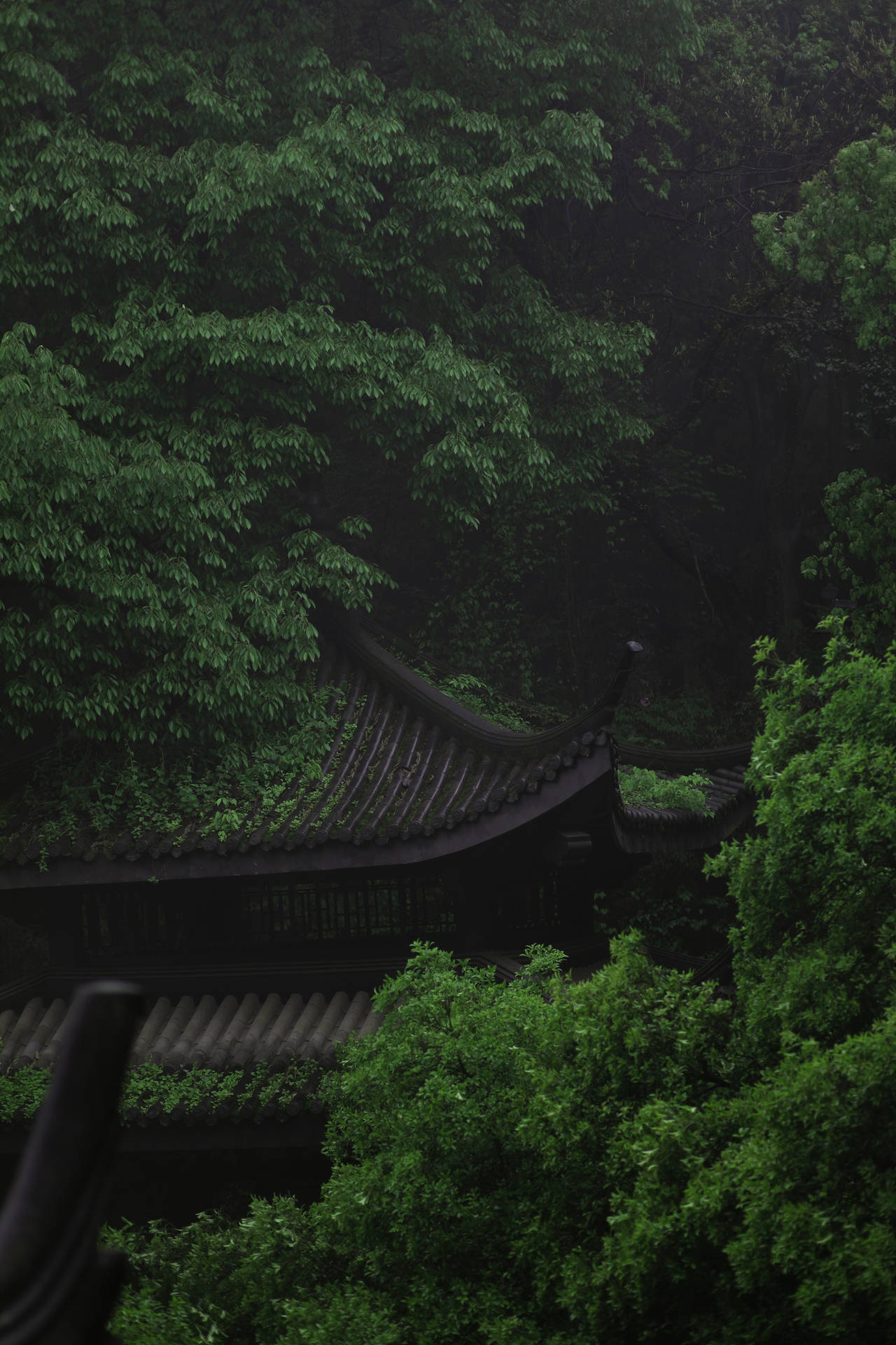 Chinese Pagoda Among Greenery Background