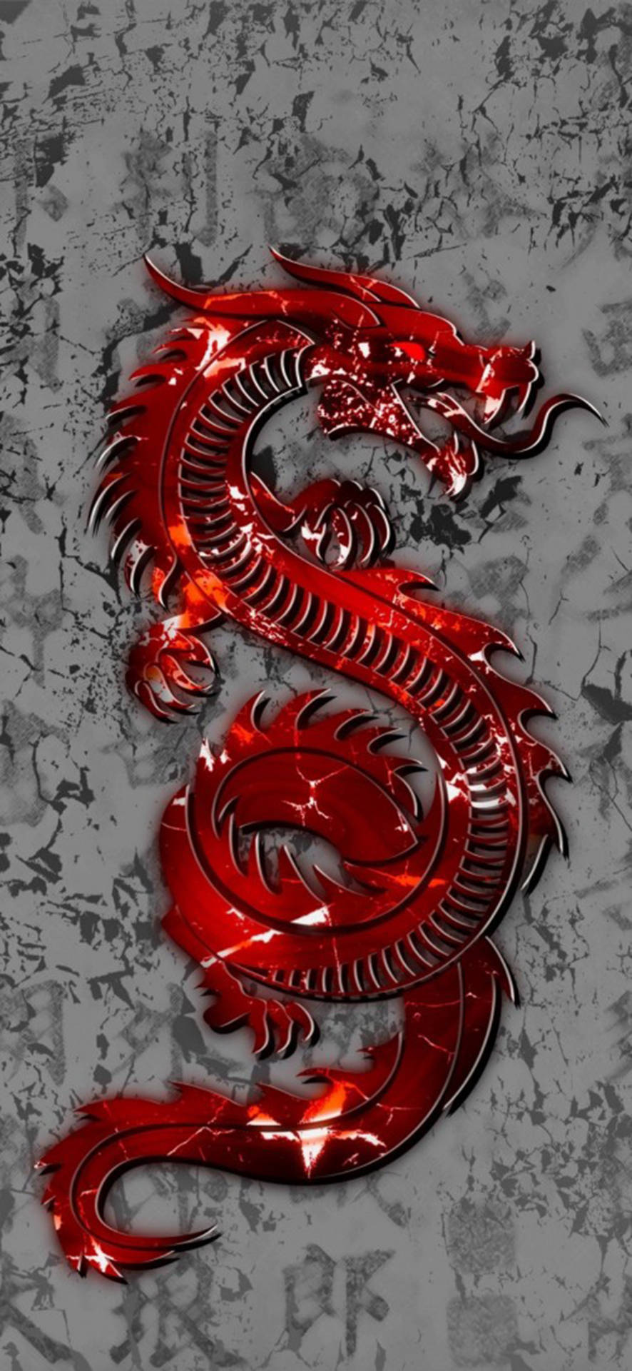Chinese Red Eastern Dragon Background