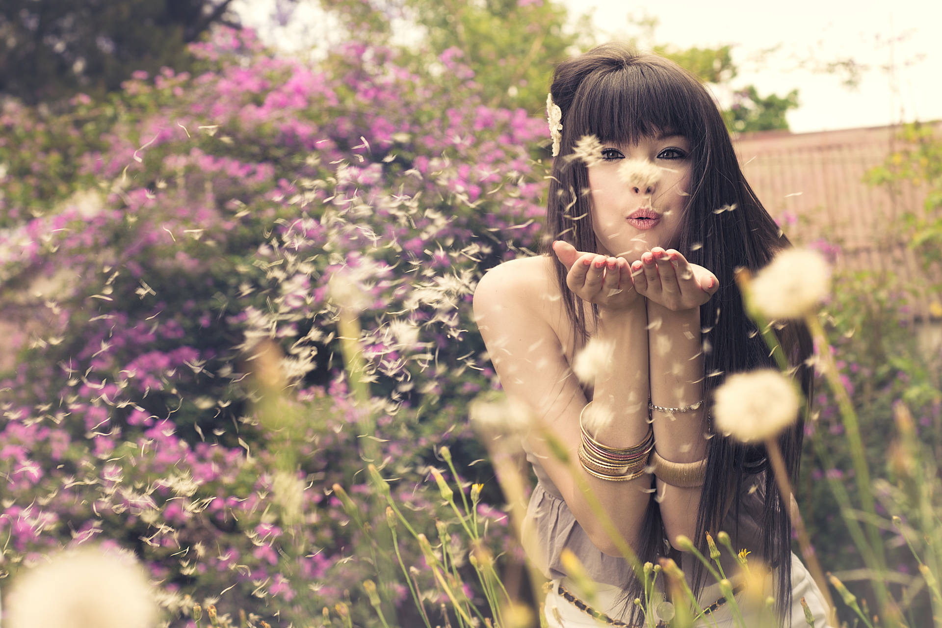 Chinese Woman And Dandelions Background