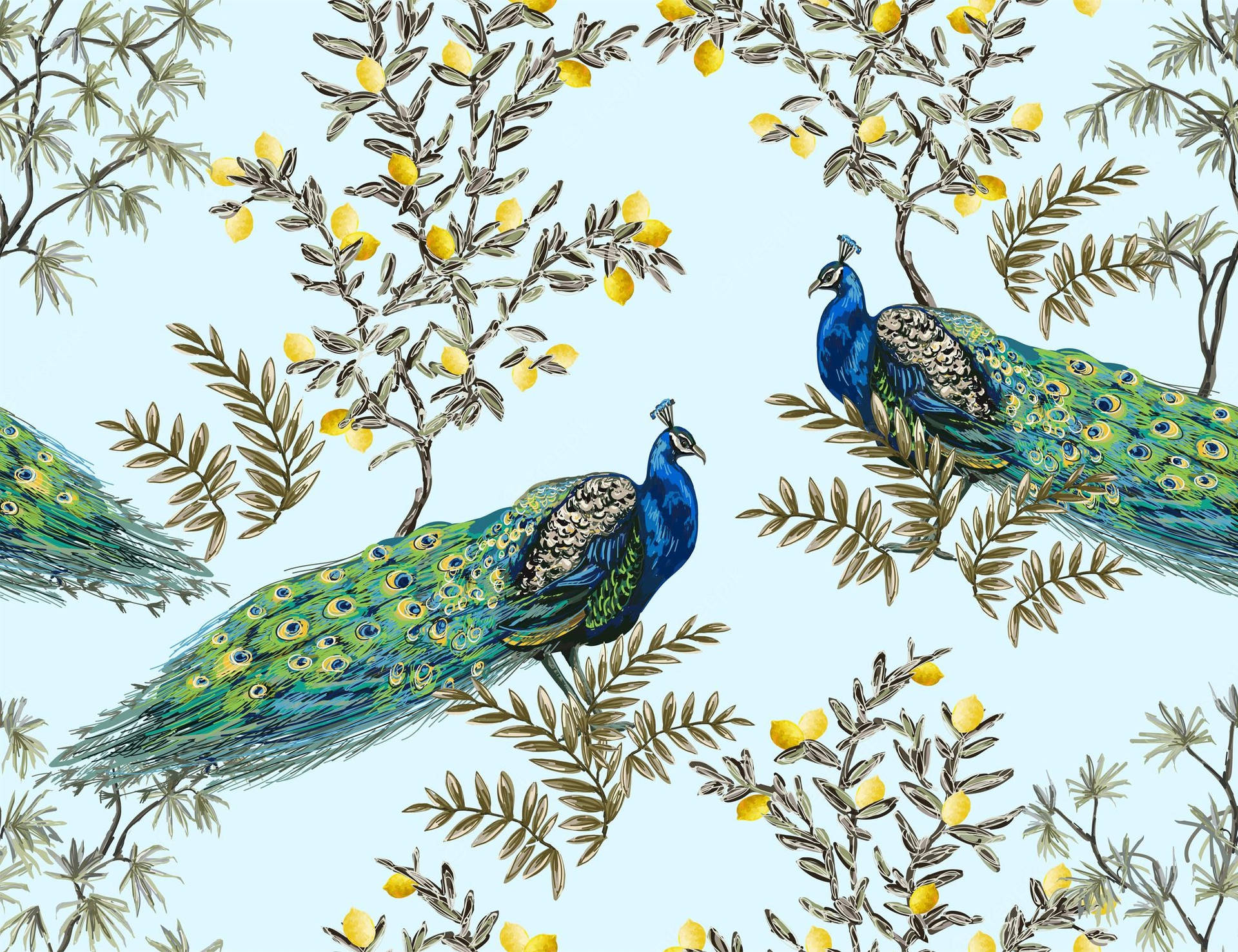 Chinoiserie Peafowl In Blue Background